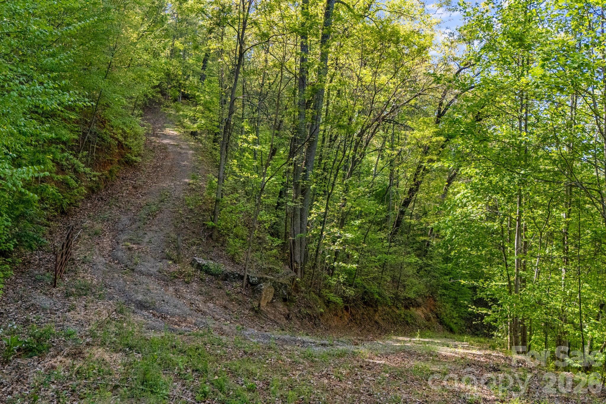 Lot at 785 Laurel Spring Drive, Bryson City, photo 8 of 13