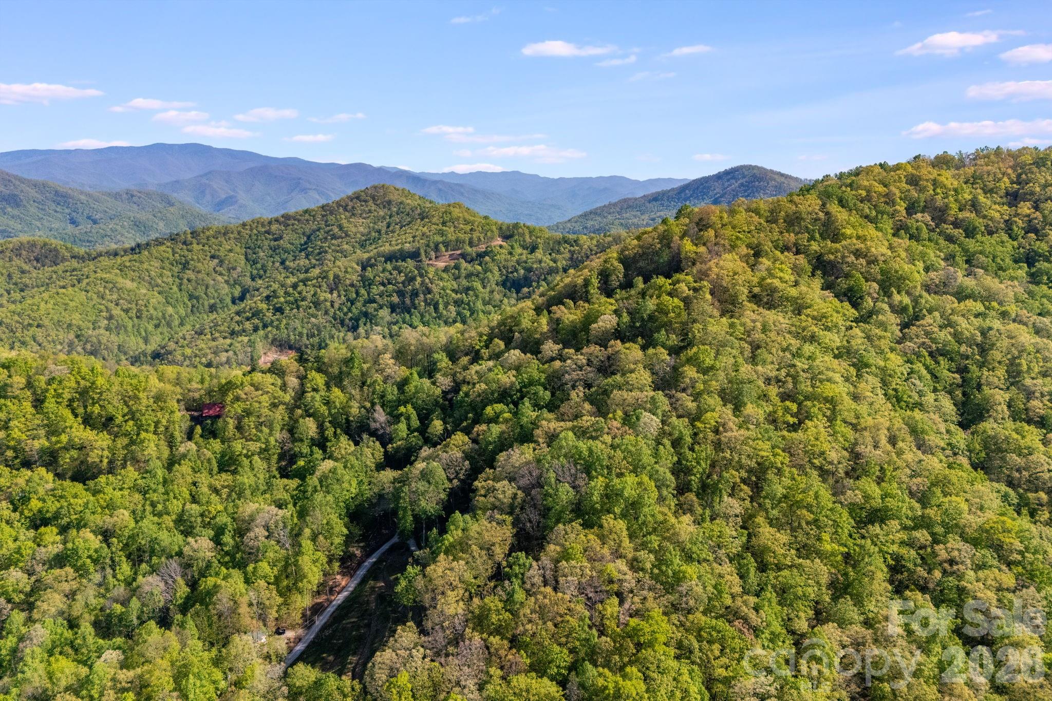 Lot at 785 Laurel Spring Drive, Bryson City, photo 9 of 13