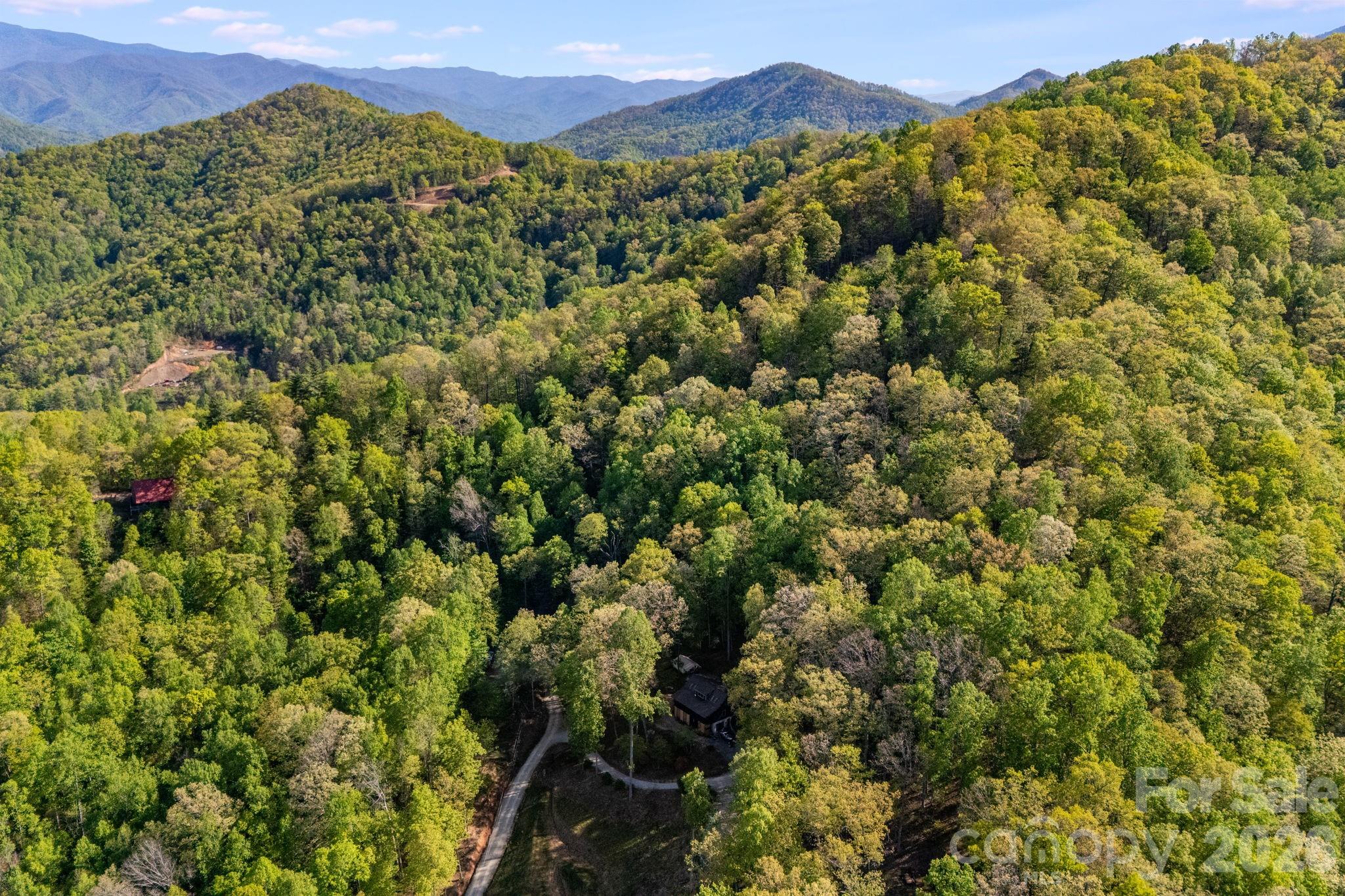 Lot at 785 Laurel Spring Drive, Bryson City, photo 10 of 13