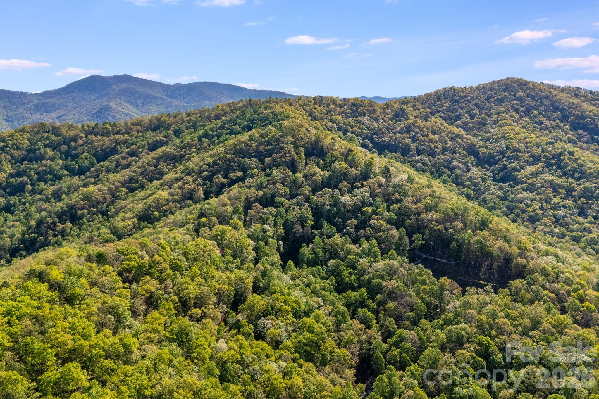 Lot at 785 Laurel Spring Drive, Bryson City, photo 11 of 13