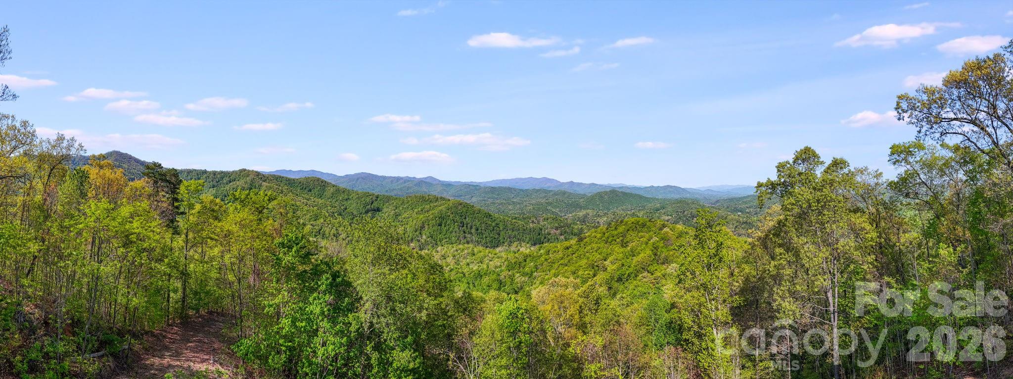 Lot at 785 Laurel Spring Drive, Bryson City, photo 13 of 13