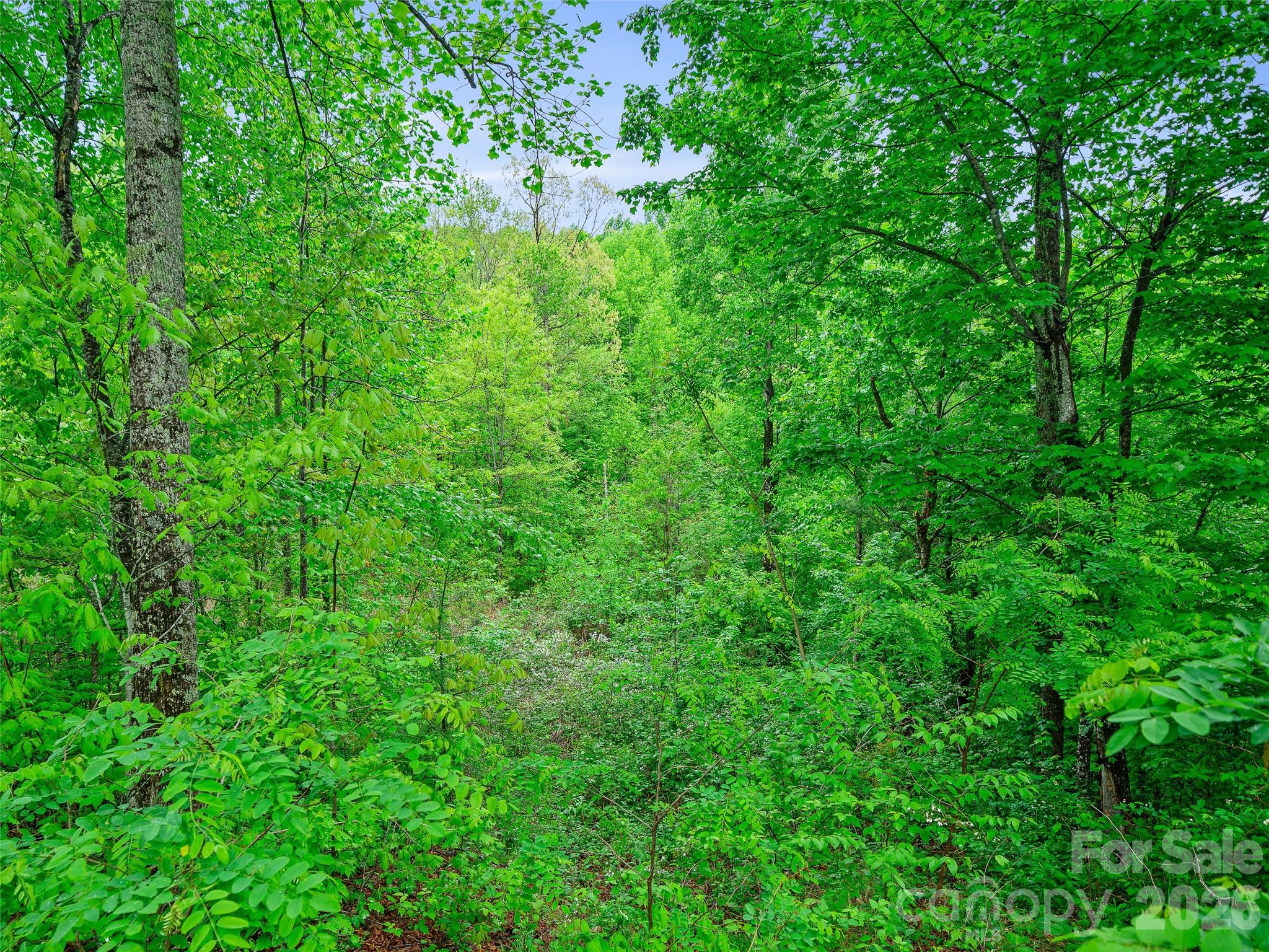 Portfolio at 2380 Old Fort Road, Black Mountain, photo 5 of 27