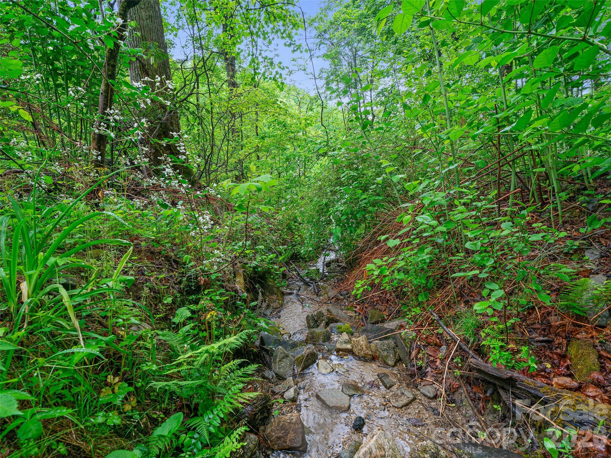 Portfolio at 2380 Old Fort Road, Black Mountain, photo 20 of 27