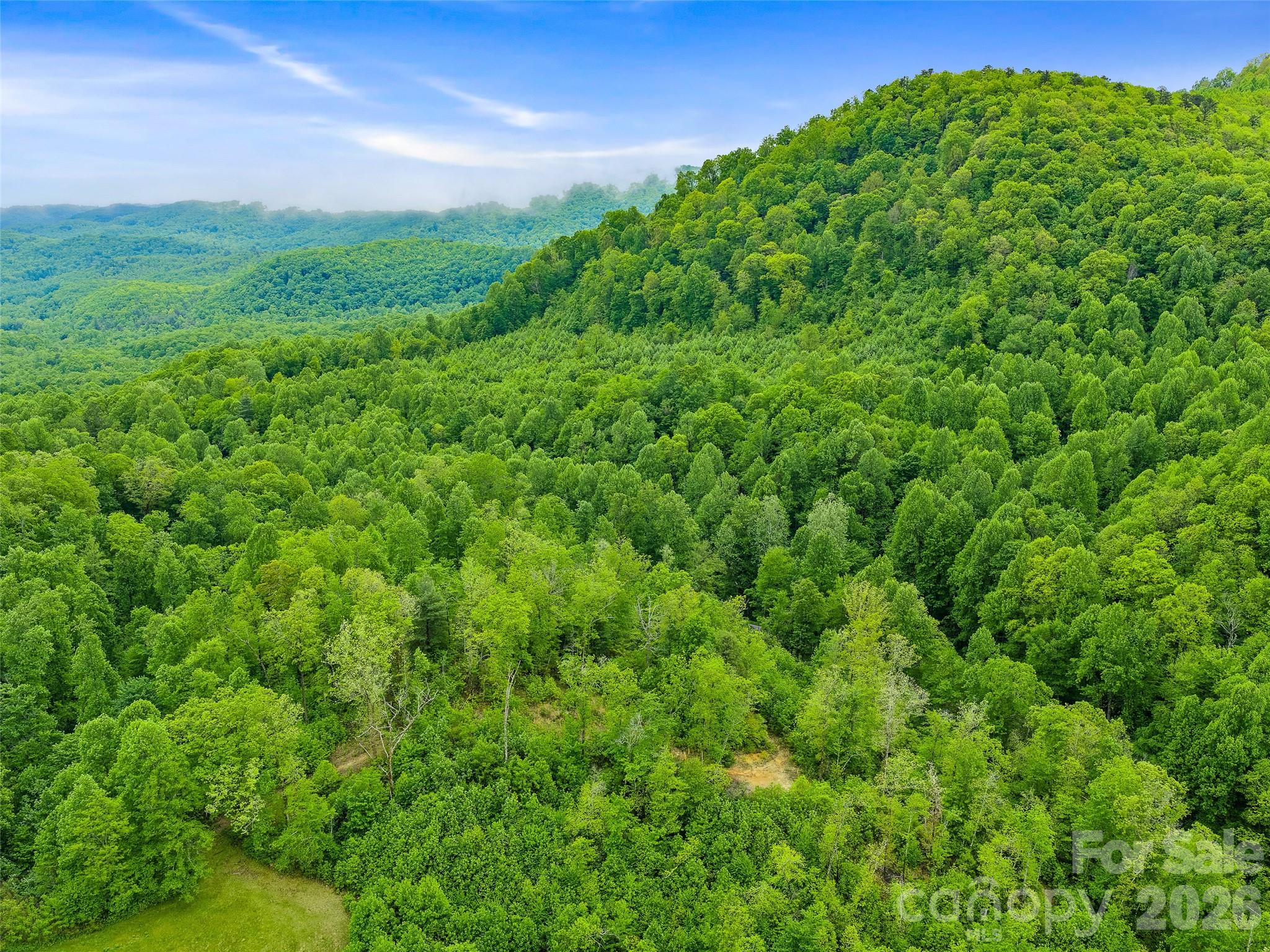 Portfolio at 2380 Old Fort Road, Black Mountain, photo 24 of 27