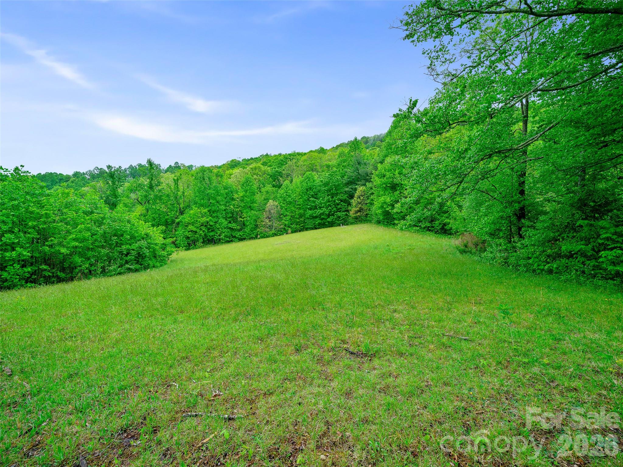 Portfolio at 2380 Old Fort Road, Black Mountain, photo 26 of 27