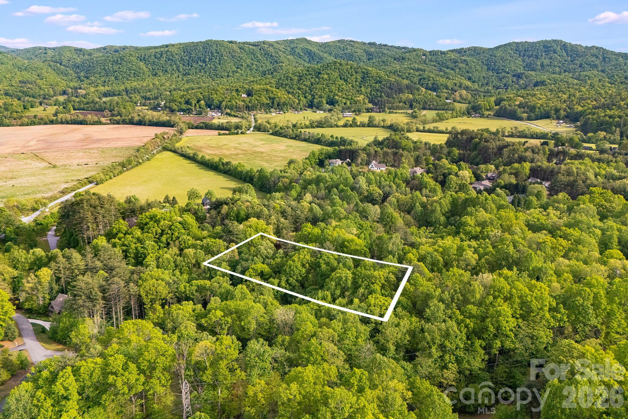 Lot at 0000 Newcastle Road, Brevard, photo 3 of 29