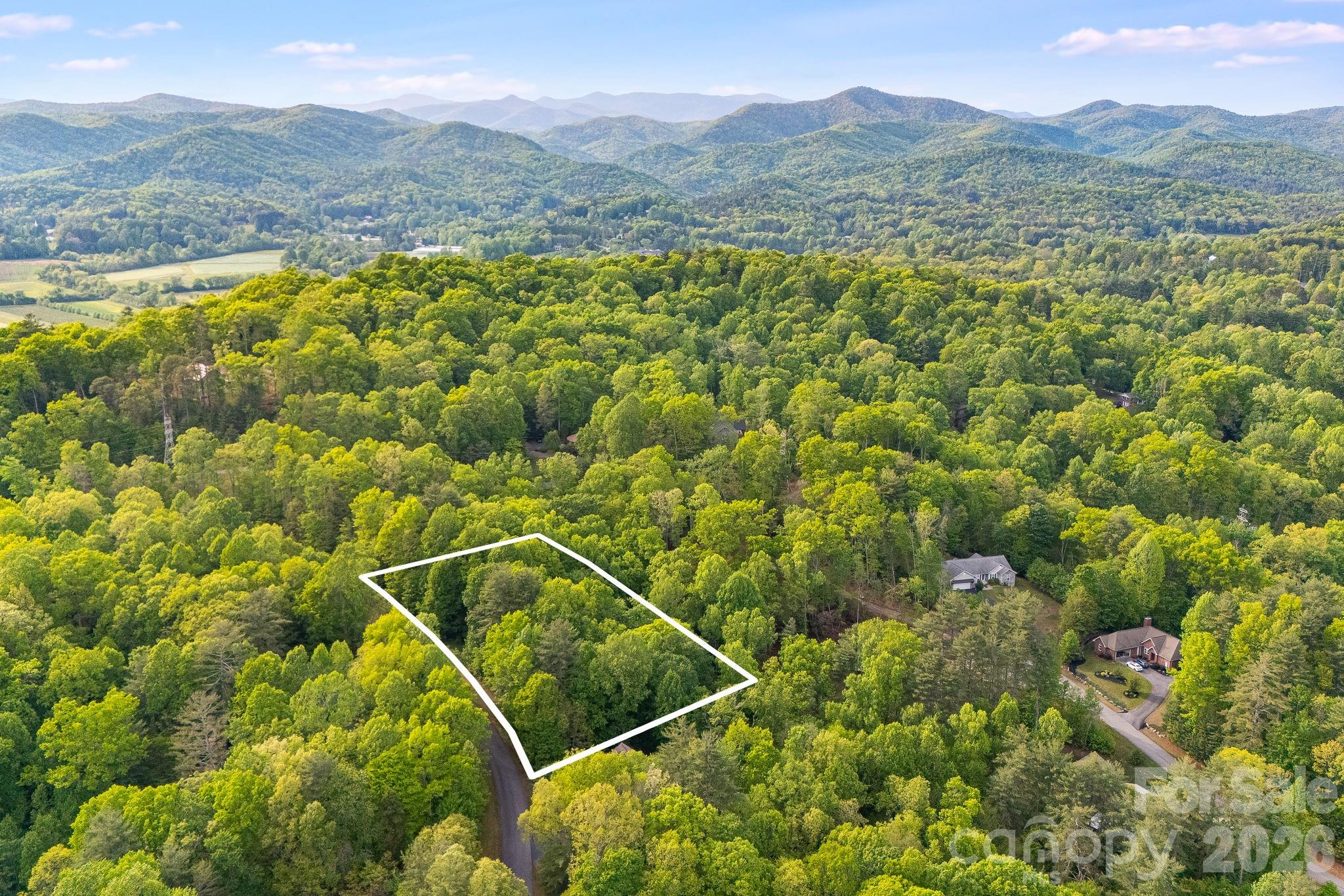 Lot at 0000 Newcastle Road, Brevard, photo 4 of 29