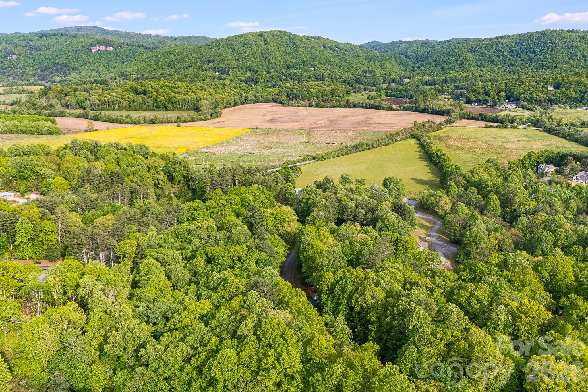 Lot at 0000 Newcastle Road, Brevard, photo 18 of 29
