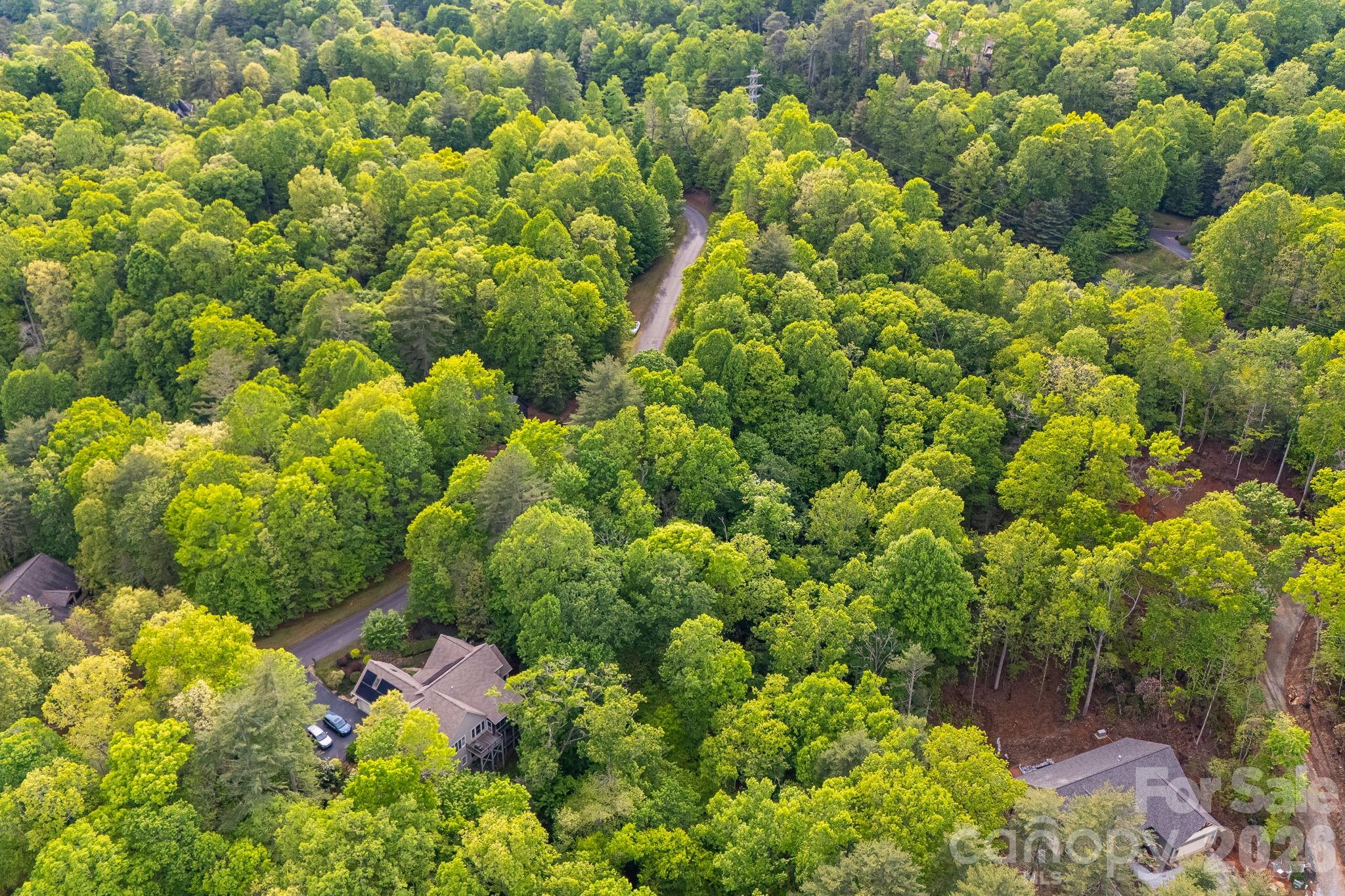 Lot at 0000 Newcastle Road, Brevard, photo 23 of 29