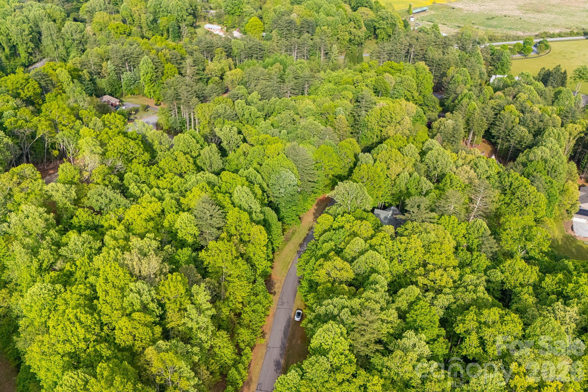 Lot at 0000 Newcastle Road, Brevard, photo 28 of 29