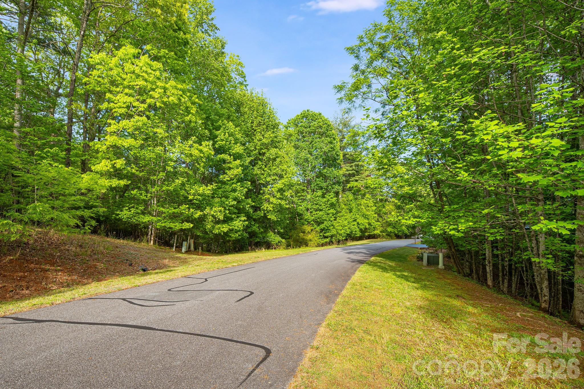 Lot at 0000 Newcastle Road, Brevard, photo 12 of 29