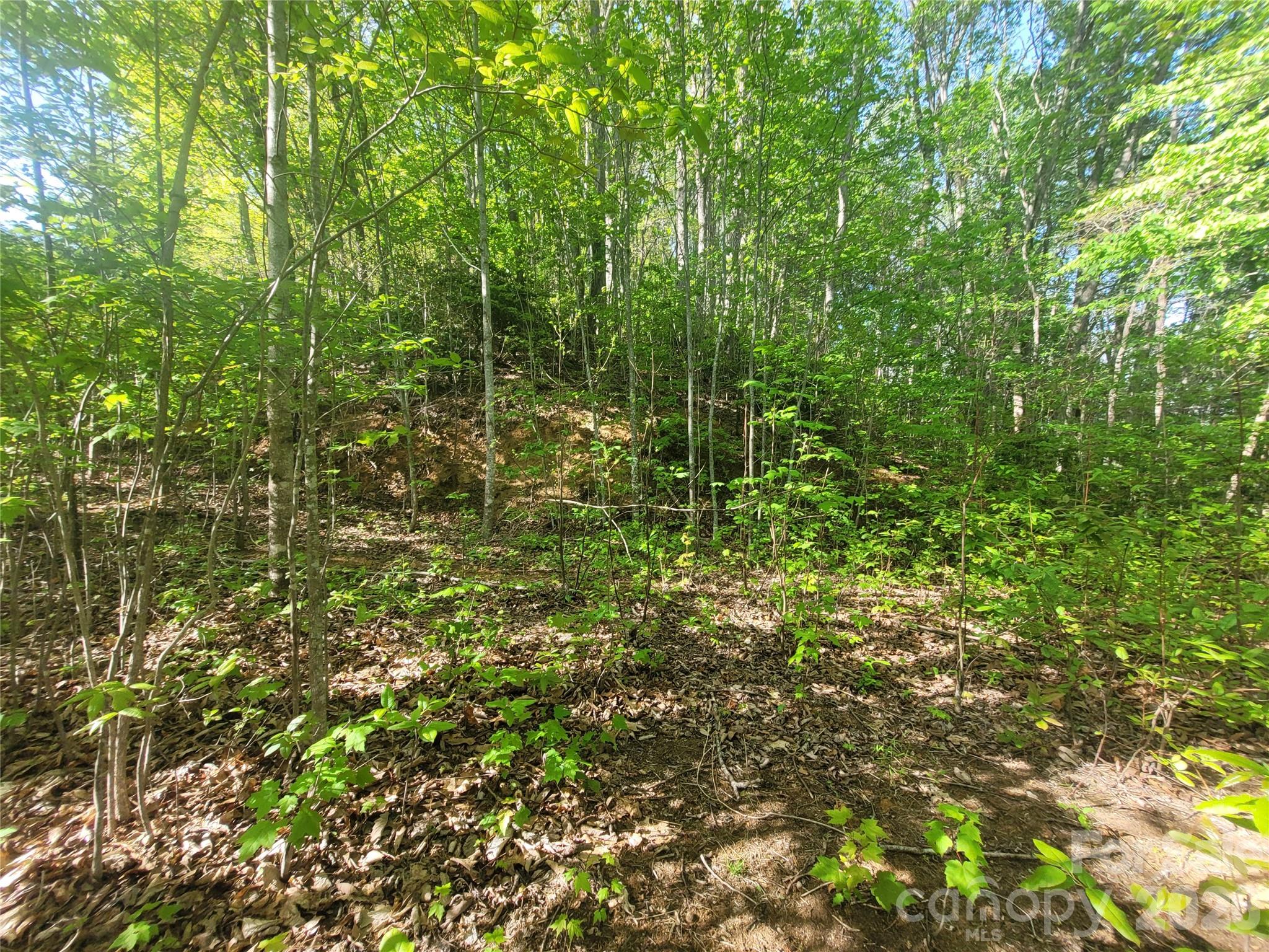 Build Site #1 - 99999 Wolverine Court, Waynesville