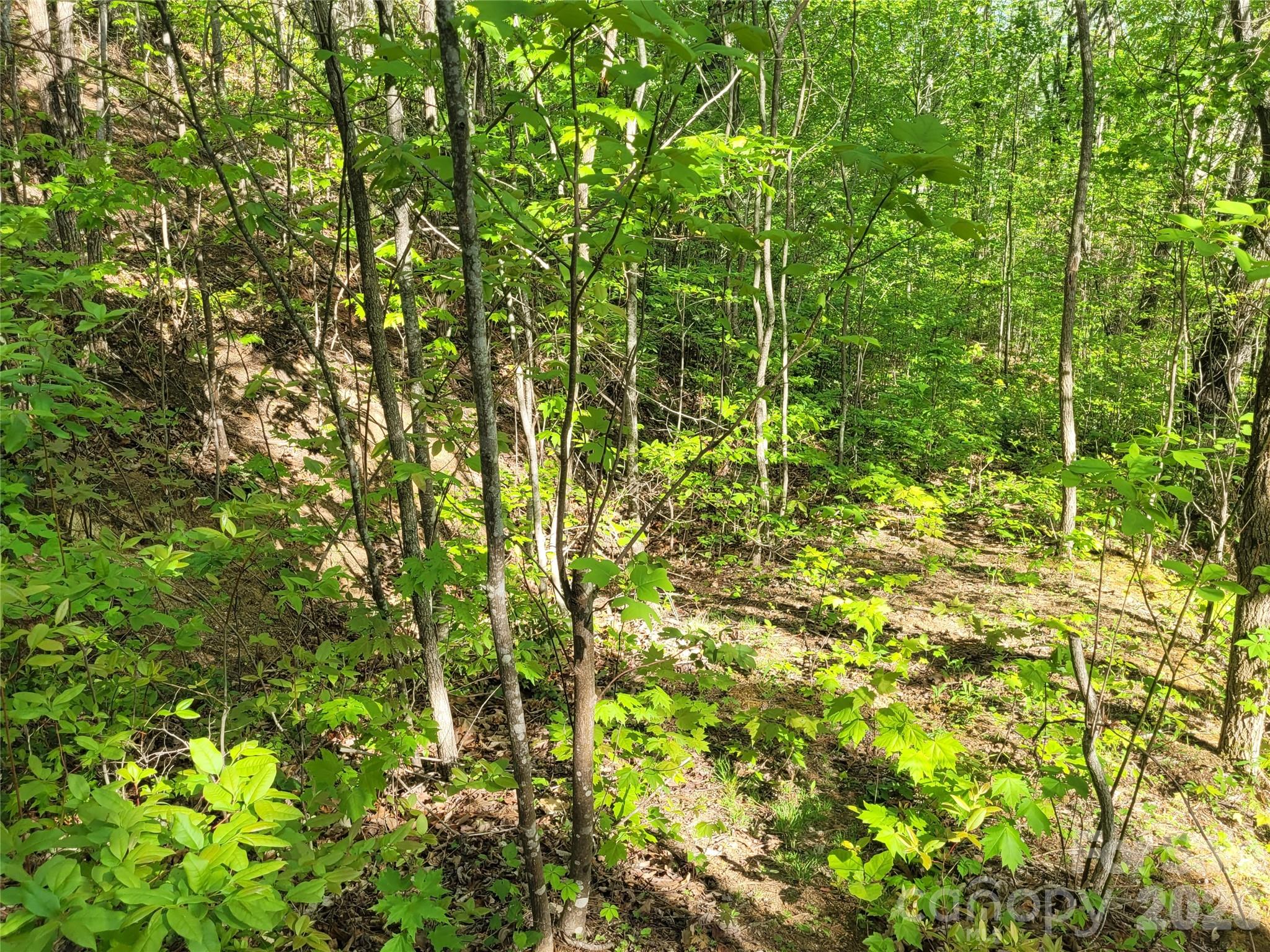 Build Site #1 - 99999 Wolverine Court, Waynesville