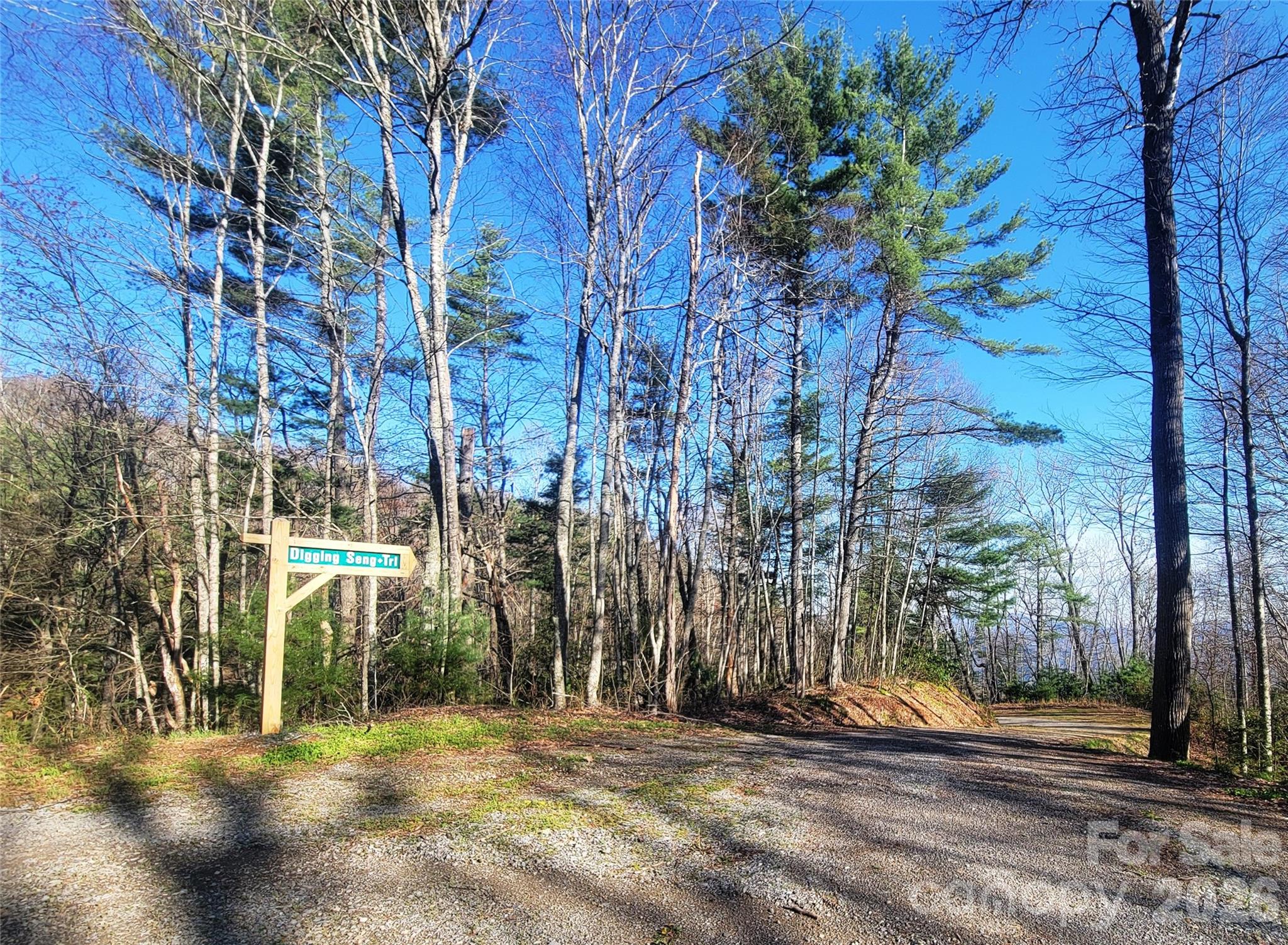 Lot at 111 Digging Seng Trail, Waynesville, photo 5 of 23