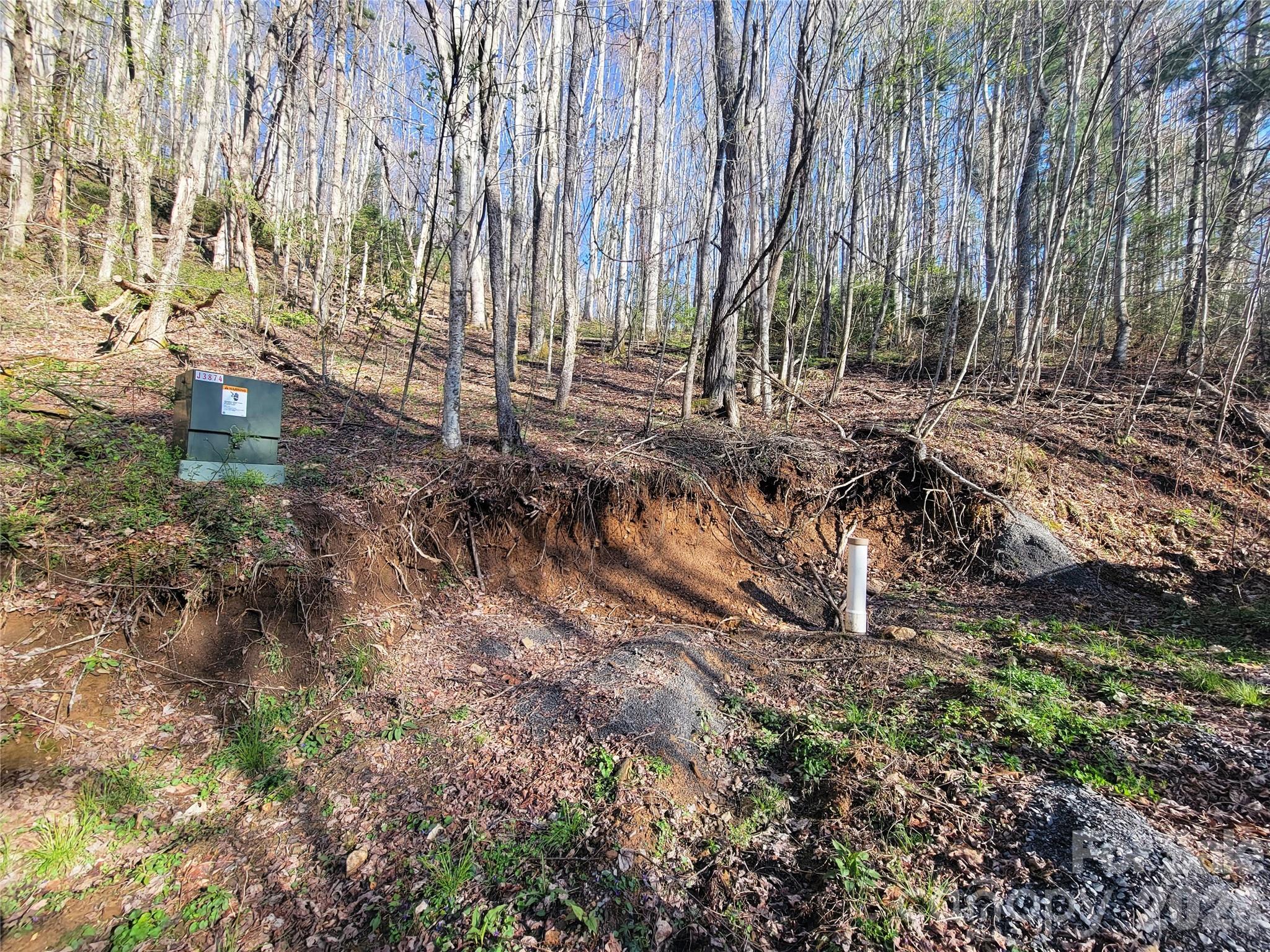Lot at 111 Digging Seng Trail, Waynesville, photo 7 of 23