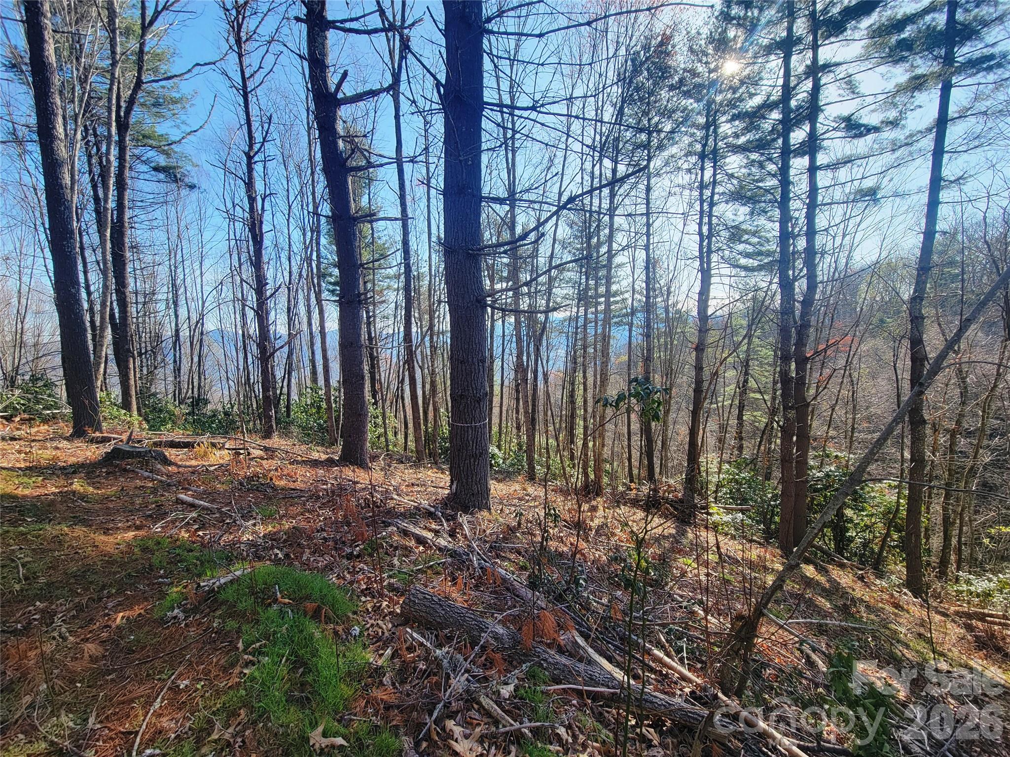 Lot at 111 Digging Seng Trail, Waynesville, photo 3 of 23