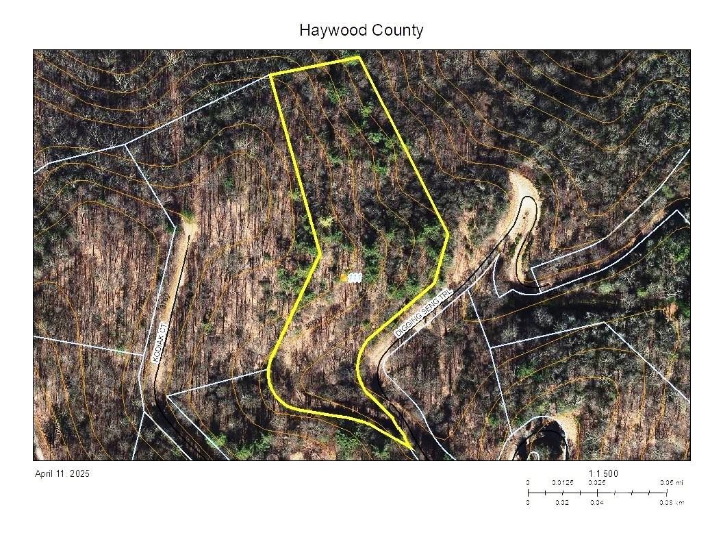 Lot at 111 Digging Seng Trail, Waynesville, photo 9 of 23