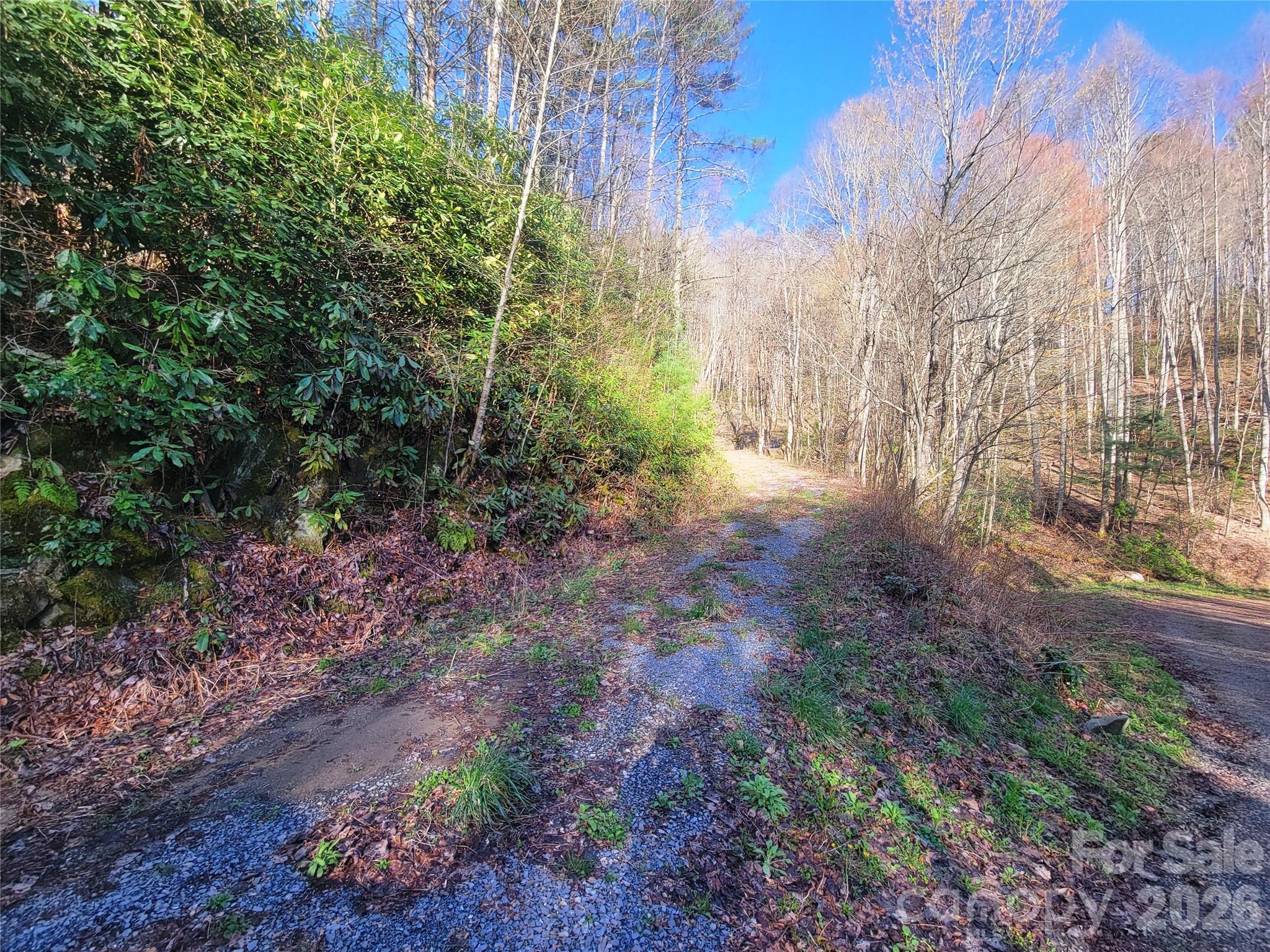 Lot at 111 Digging Seng Trail, Waynesville, photo 11 of 23