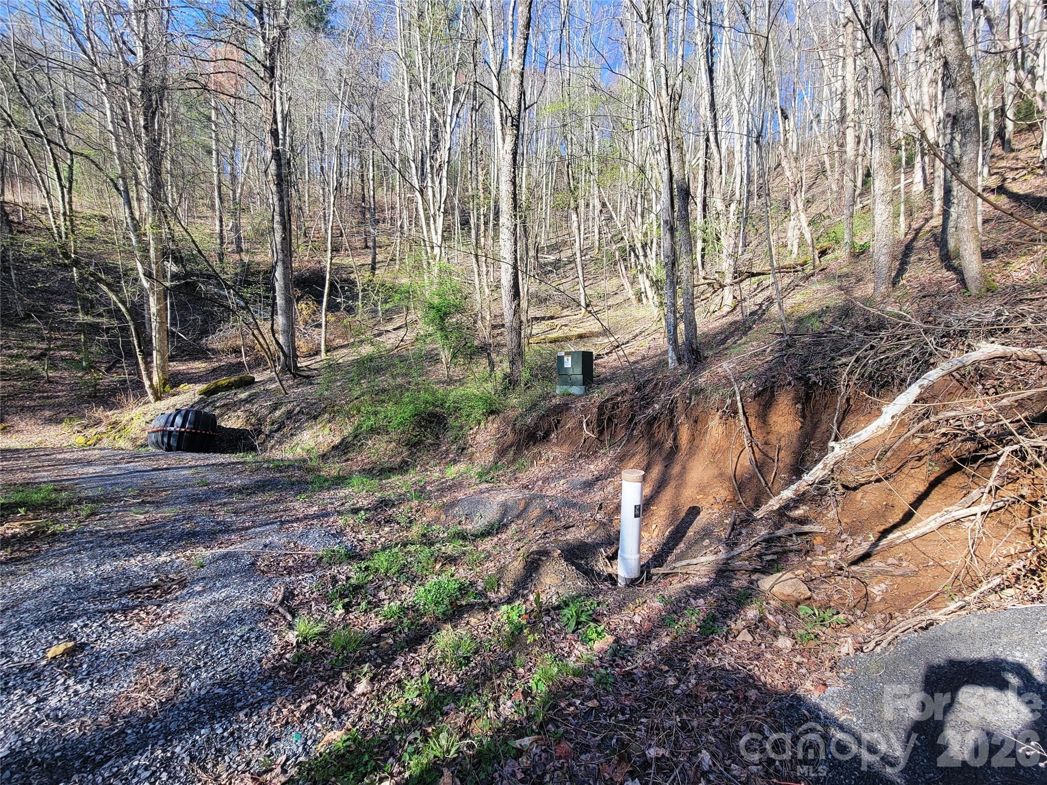 Lot at 111 Digging Seng Trail, Waynesville, photo 12 of 23