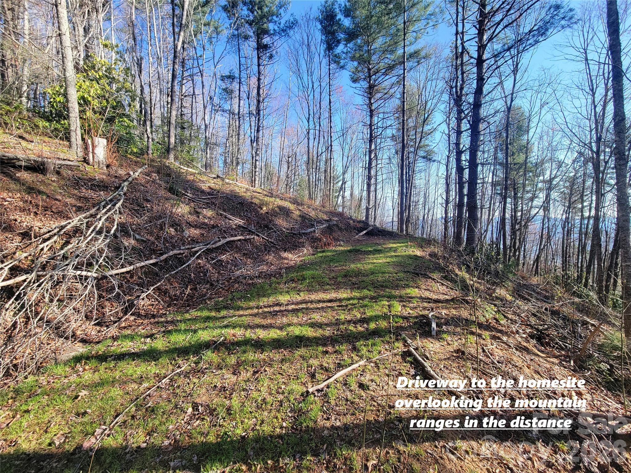 Lot at 111 Digging Seng Trail, Waynesville, photo 4 of 23