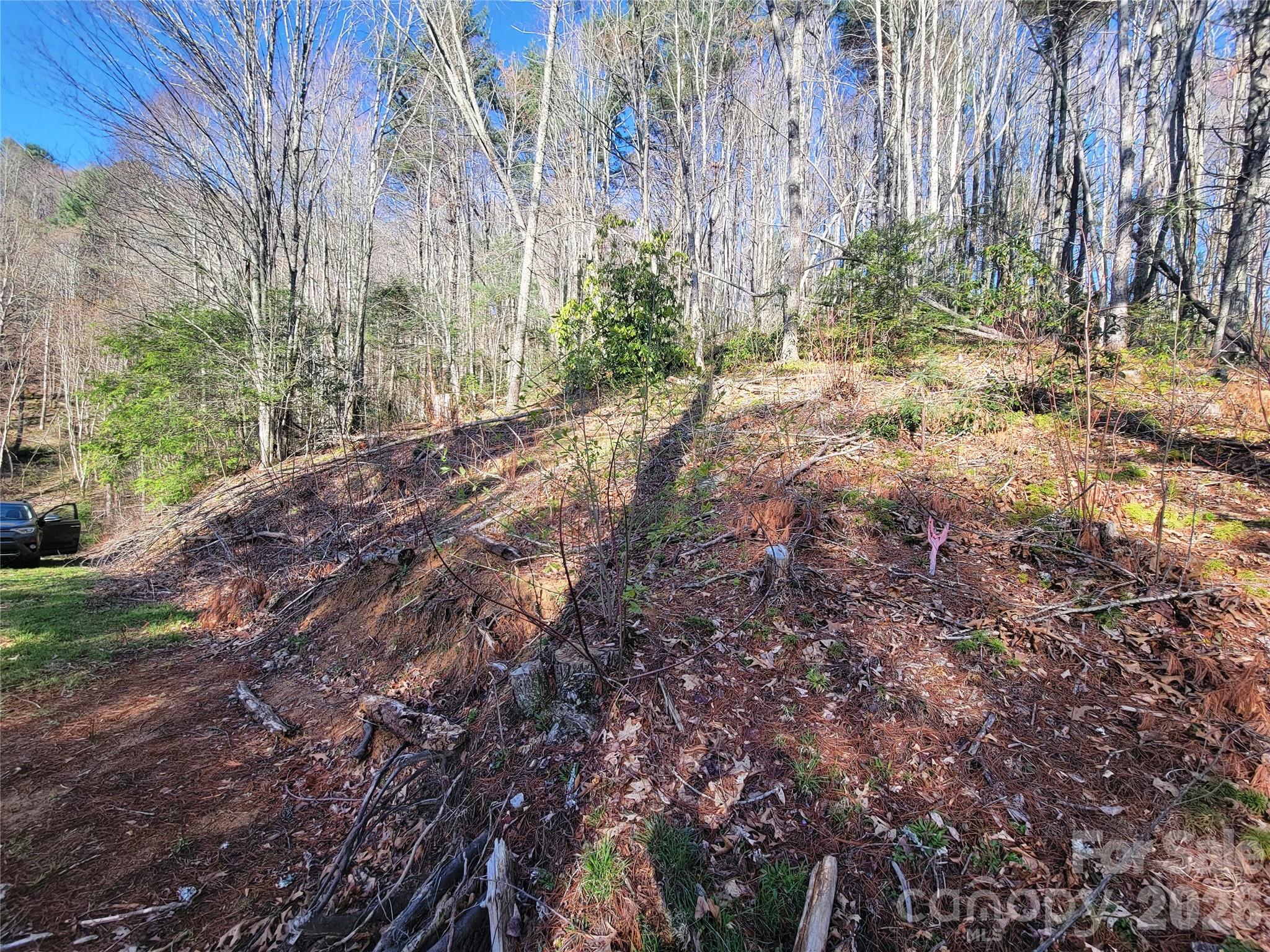 Lot at 111 Digging Seng Trail, Waynesville, photo 14 of 23