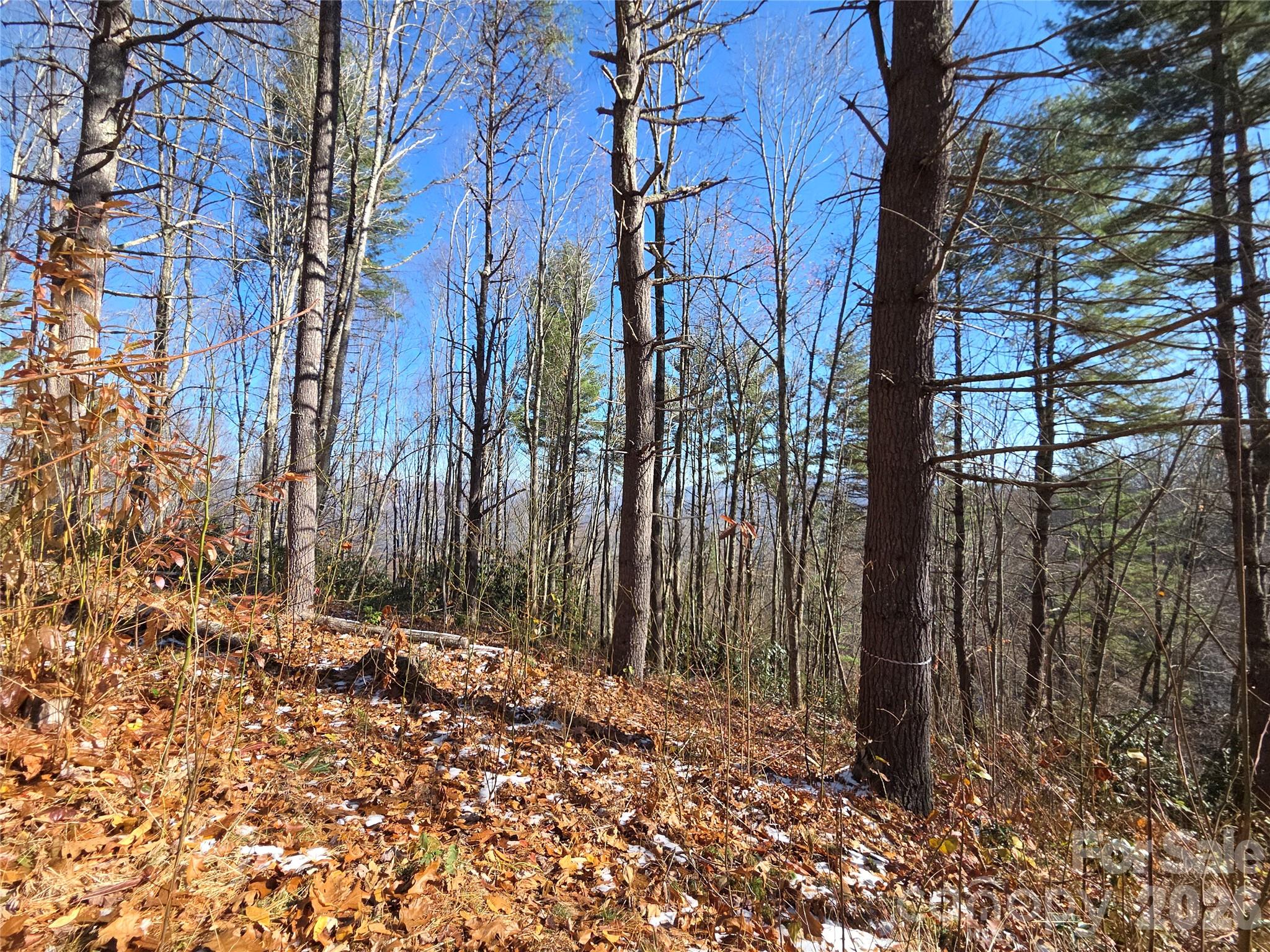Lot at 111 Digging Seng Trail, Waynesville, photo 22 of 23