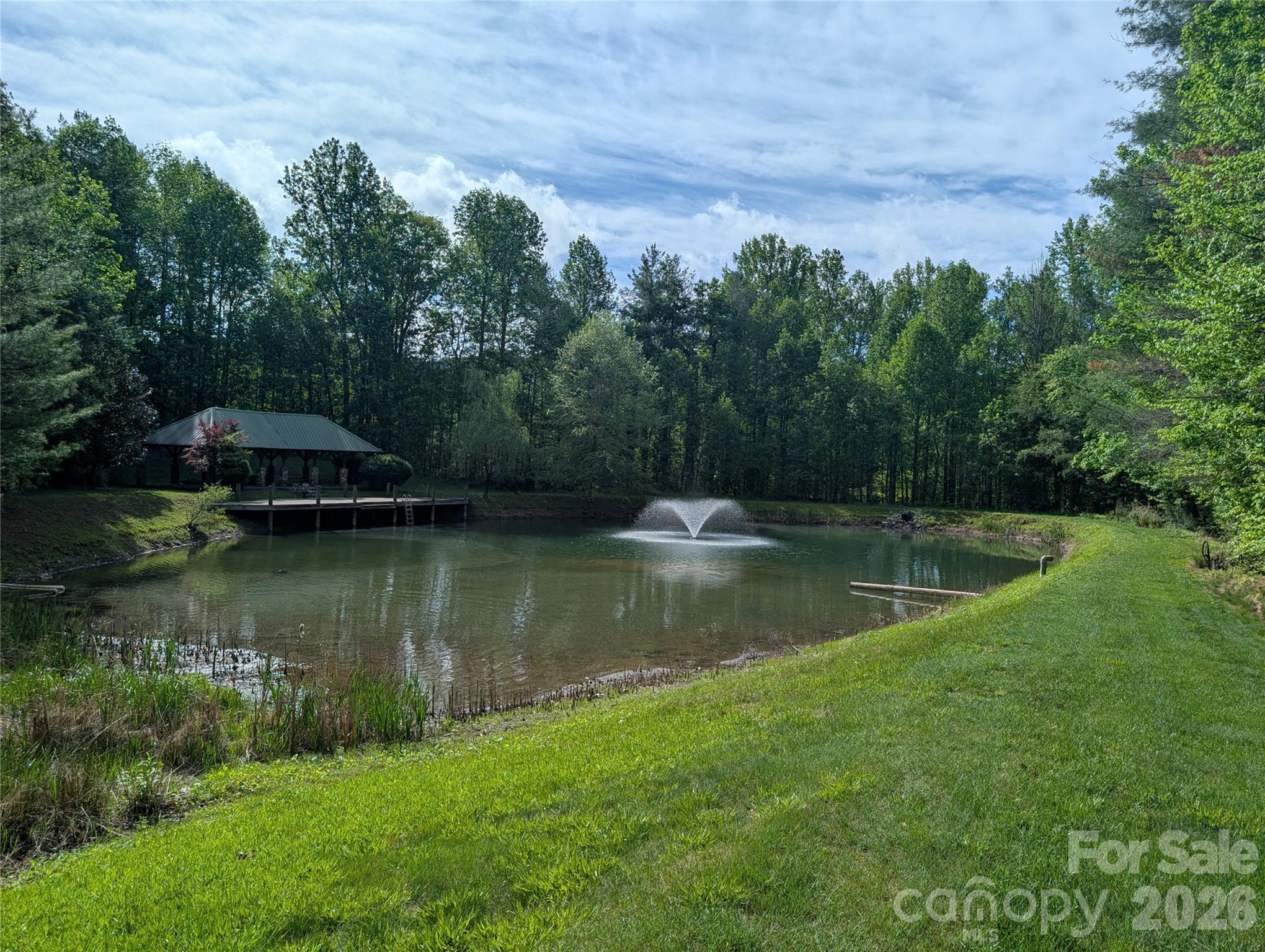 Lot at 00 Hosta Lane, Hendersonville, photo 2 of 21