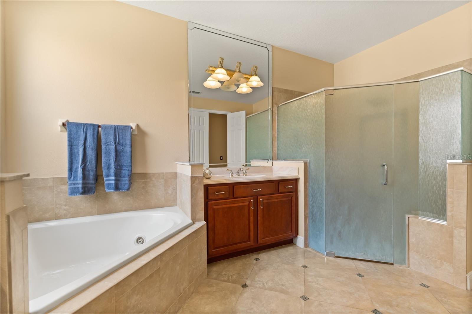 Single Family Residence at 3759 EAGLE ISLE CIR, KISSIMMEE, photo 15 of 71