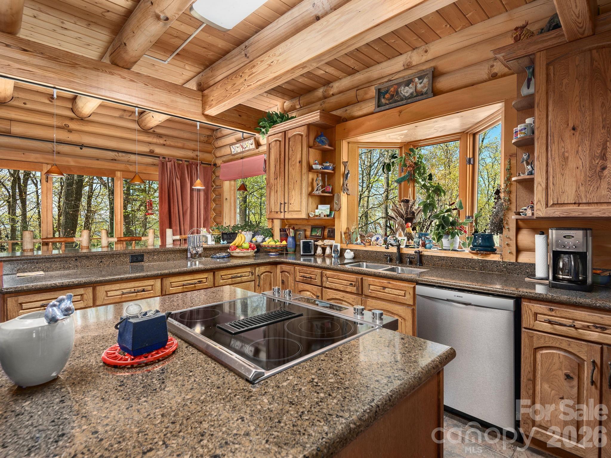 Single Family Residence at 1036 Forces Of Nature Trail, Mars Hill, photo 15 of 40