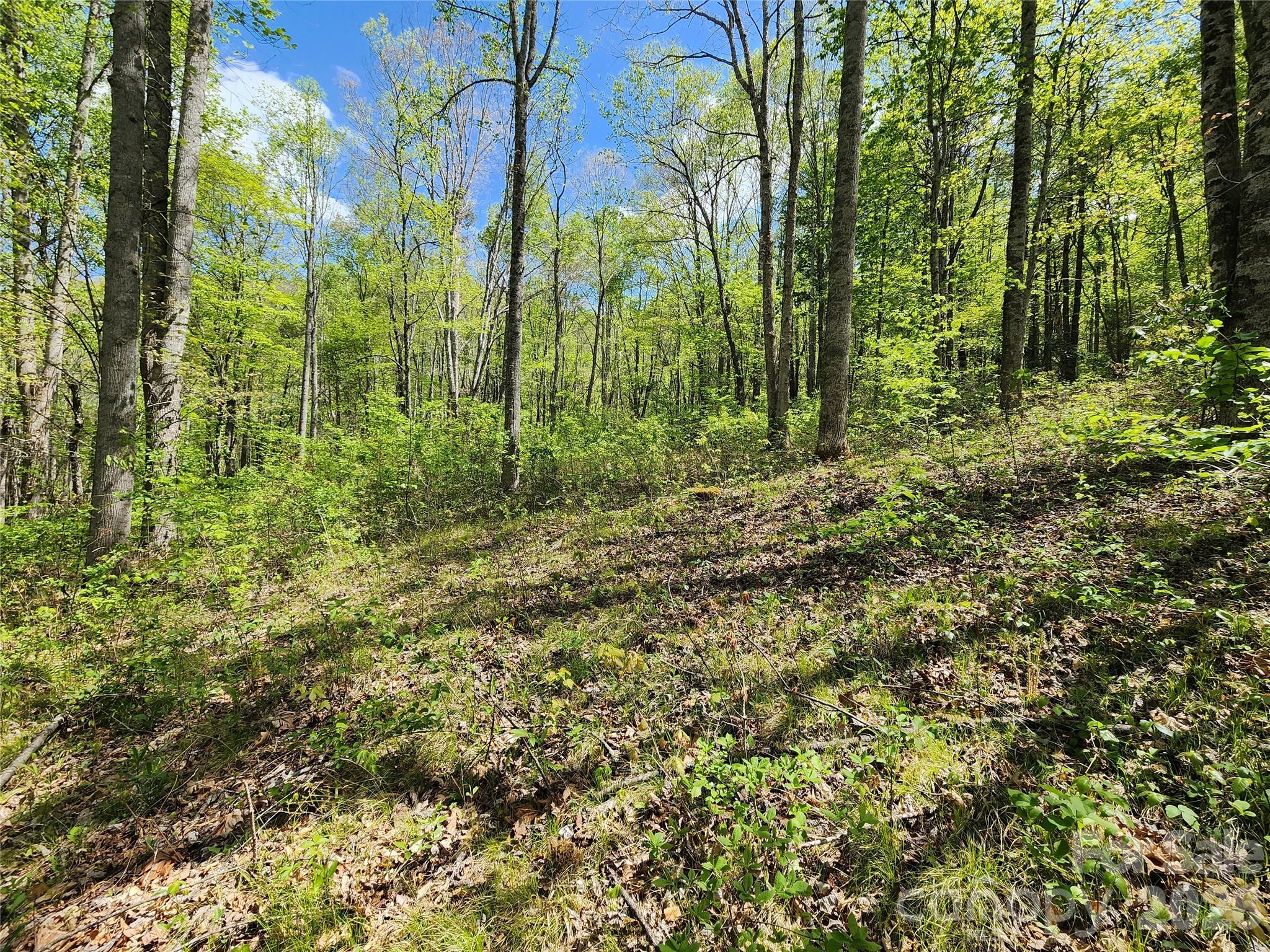 Lot at 165 Wagon Wheel Way, Canton, photo 2 of 12