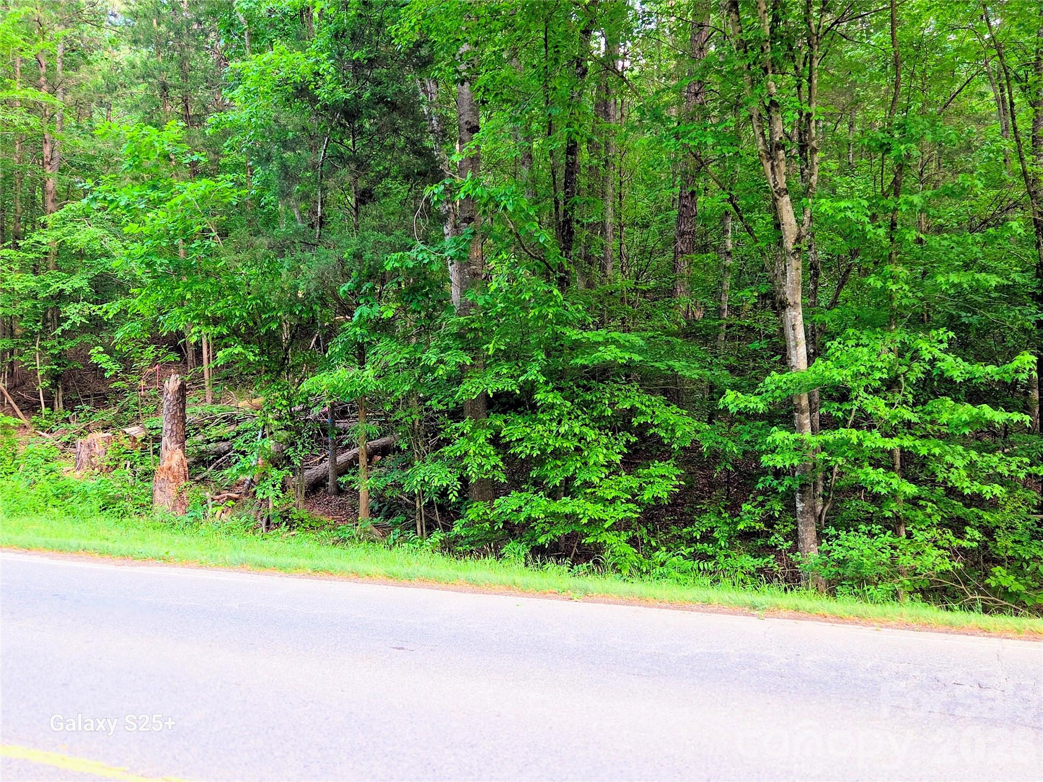 Acreage at VAC Stony Gap Road, Albemarle, photo 3 of 9