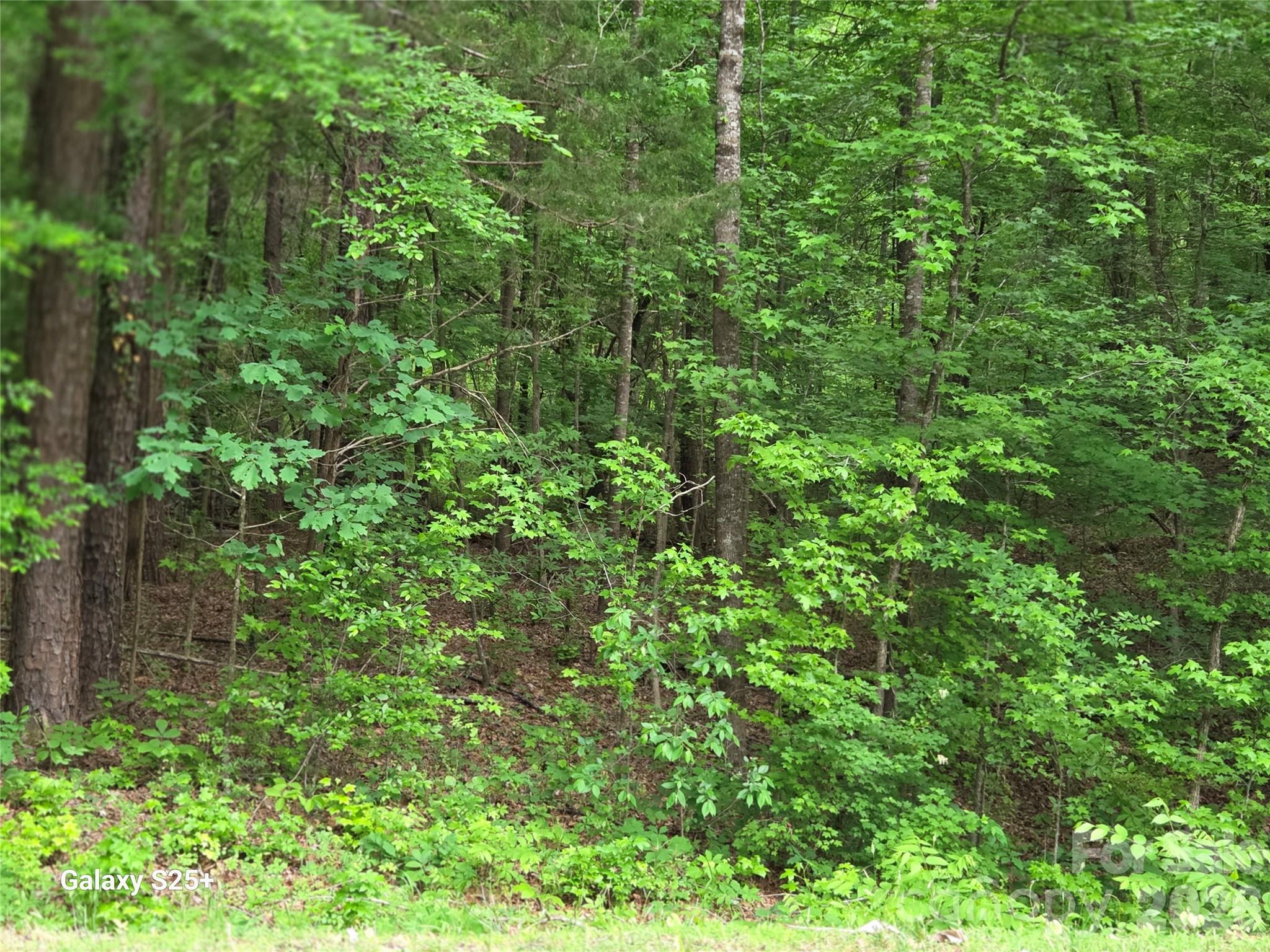 Acreage at VAC Stony Gap Road, Albemarle, photo 8 of 9