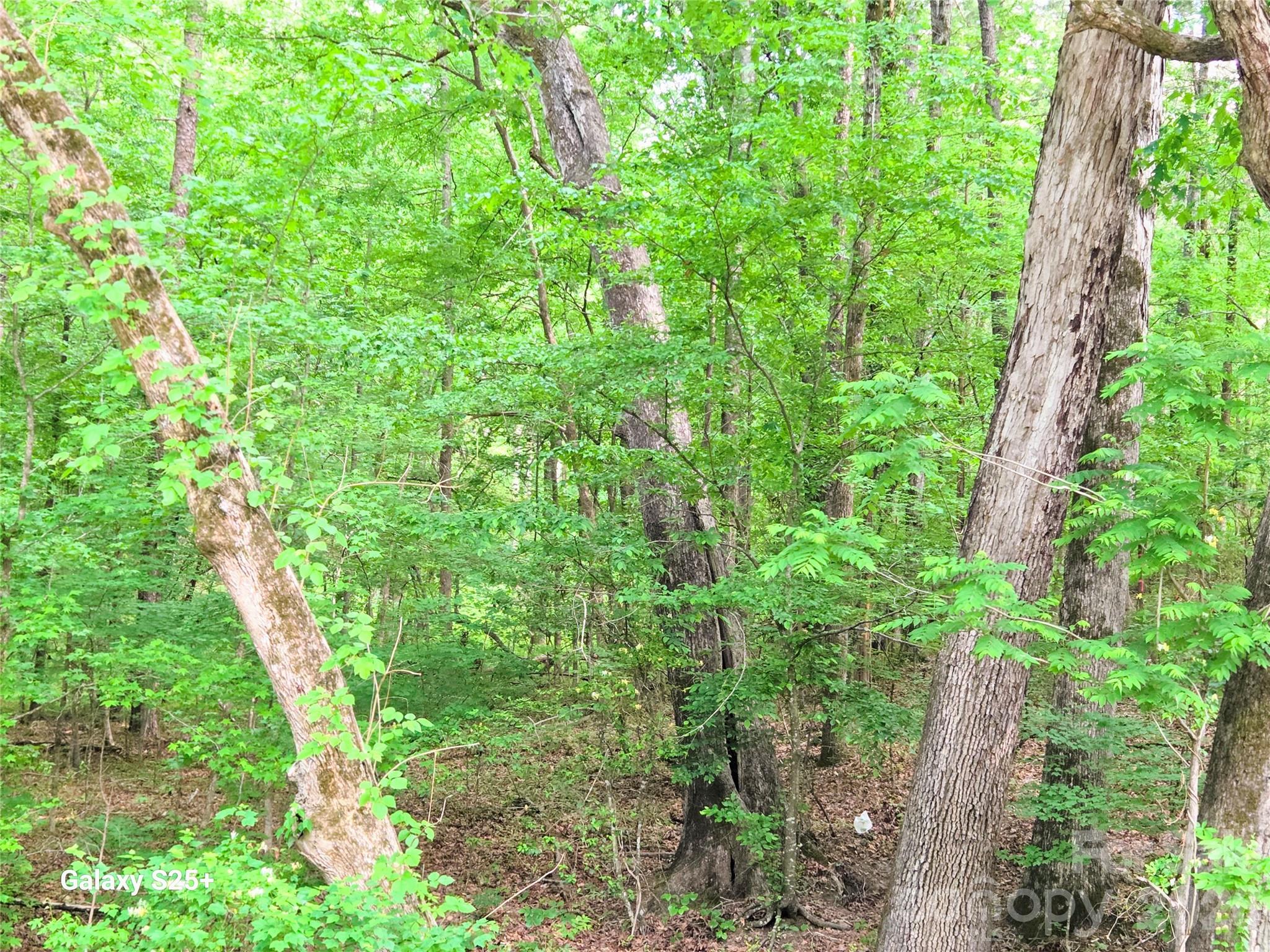 Acreage at VAC Stony Gap Road, Albemarle, photo 9 of 9