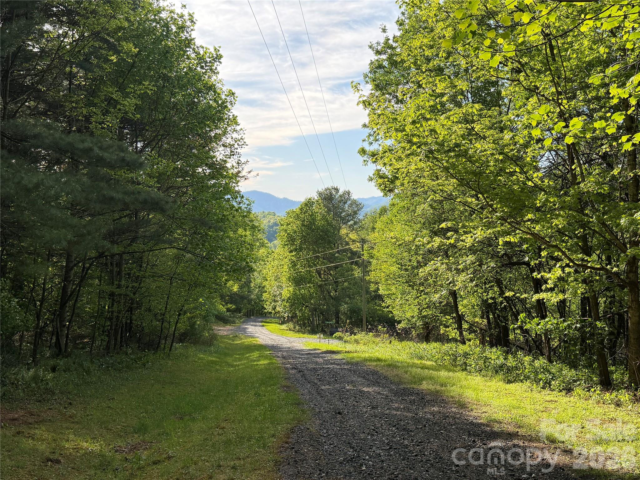Lot at 00000 Apple Farm Road, Bakersville, photo 2 of 28