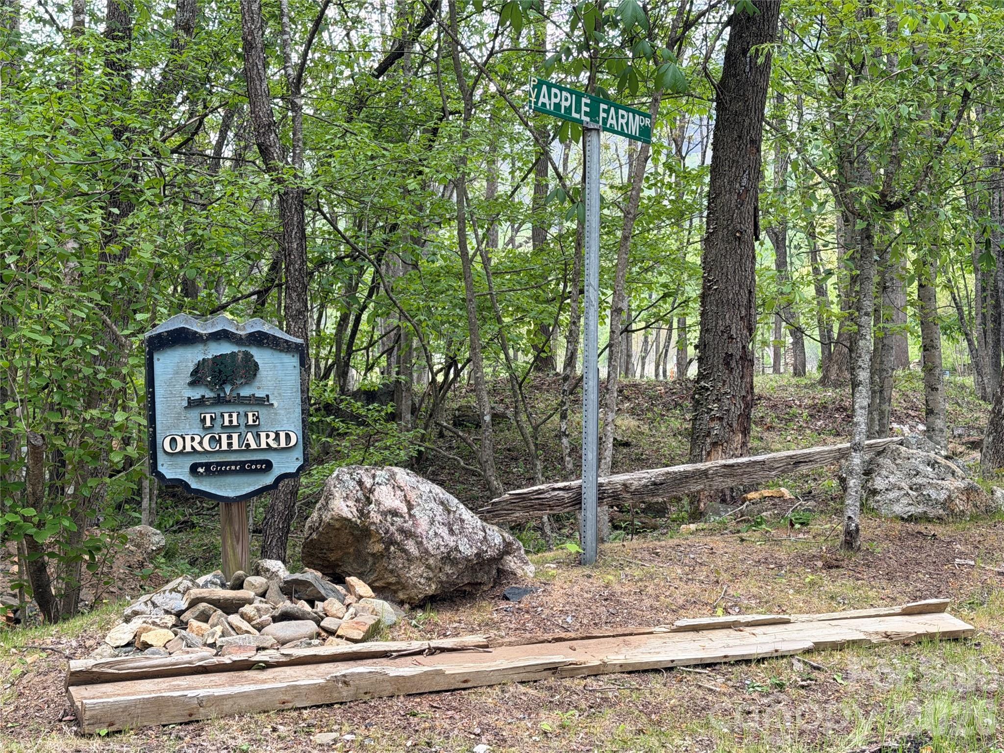 Lot at 00000 Apple Farm Road, Bakersville, photo 5 of 28
