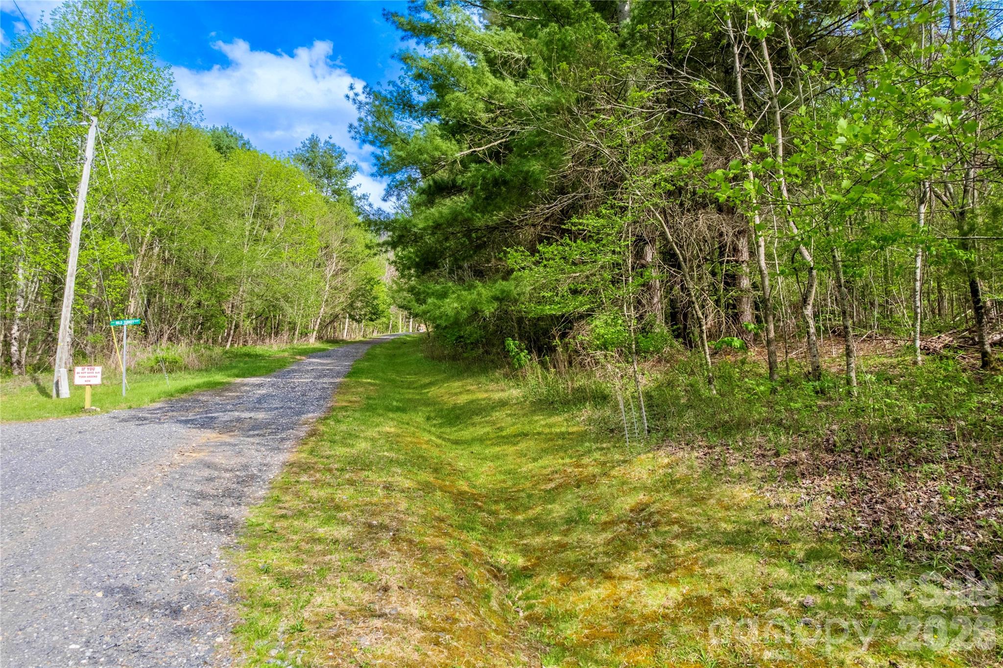 Lot at 00000 Apple Farm Road, Bakersville, photo 9 of 28