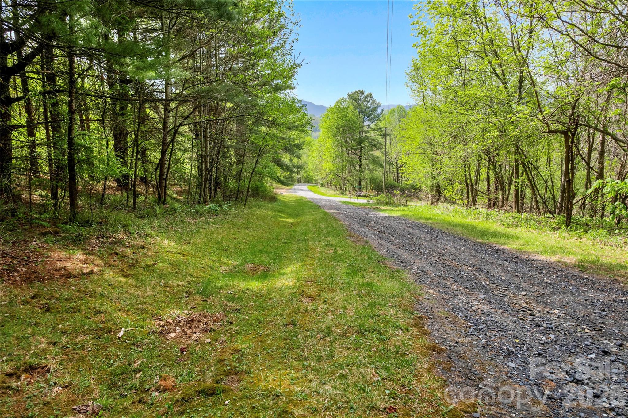 Lot at 00000 Apple Farm Road, Bakersville, photo 10 of 28