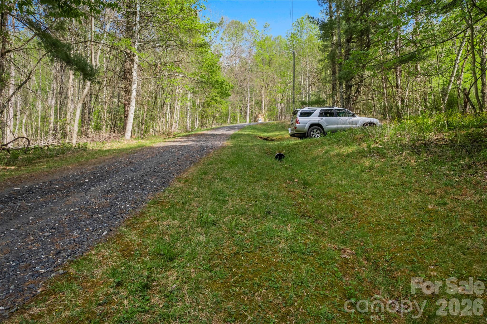 Lot at 00000 Apple Farm Road, Bakersville, photo 11 of 28
