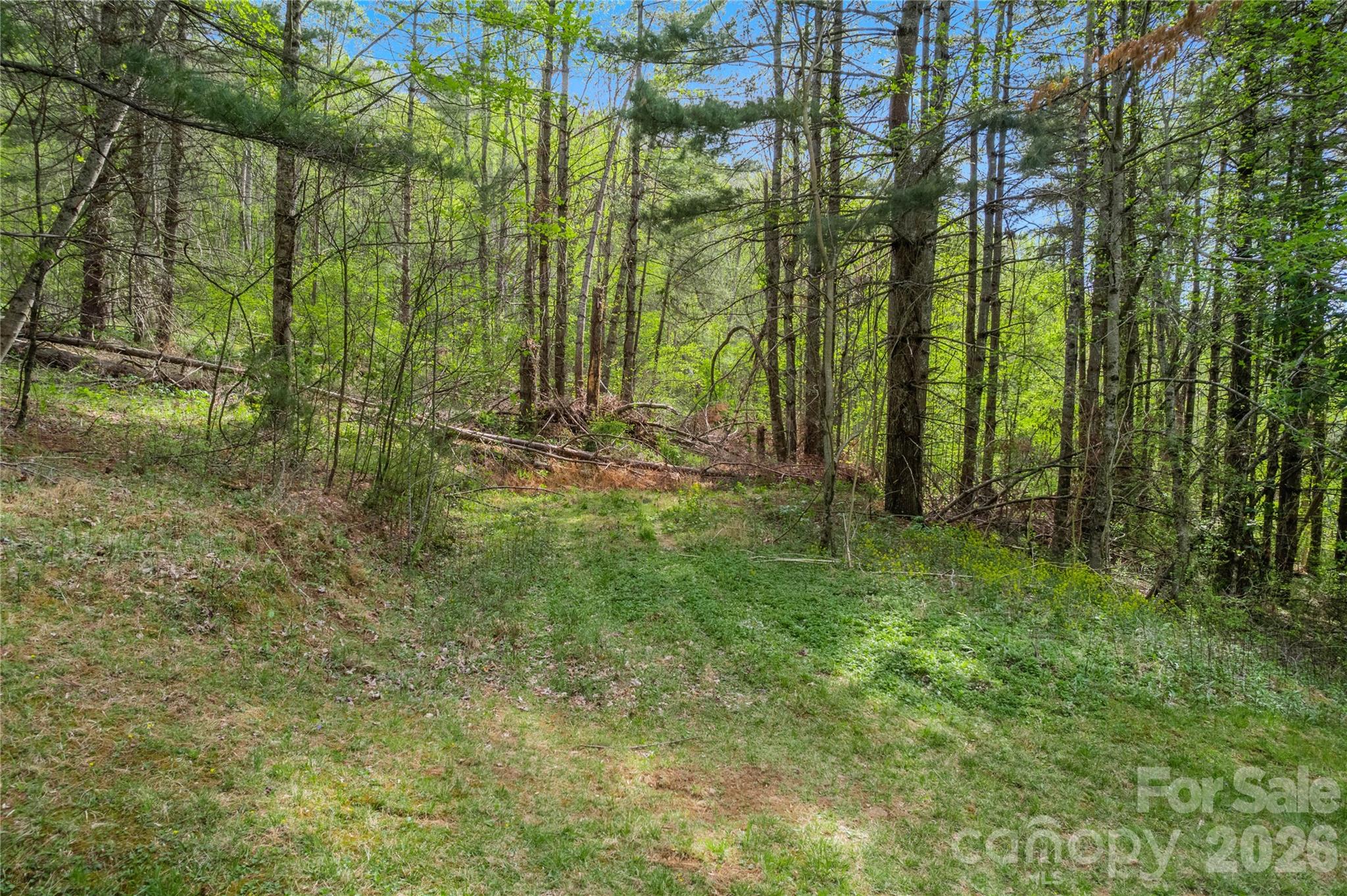 Lot at 00000 Apple Farm Road, Bakersville, photo 15 of 28