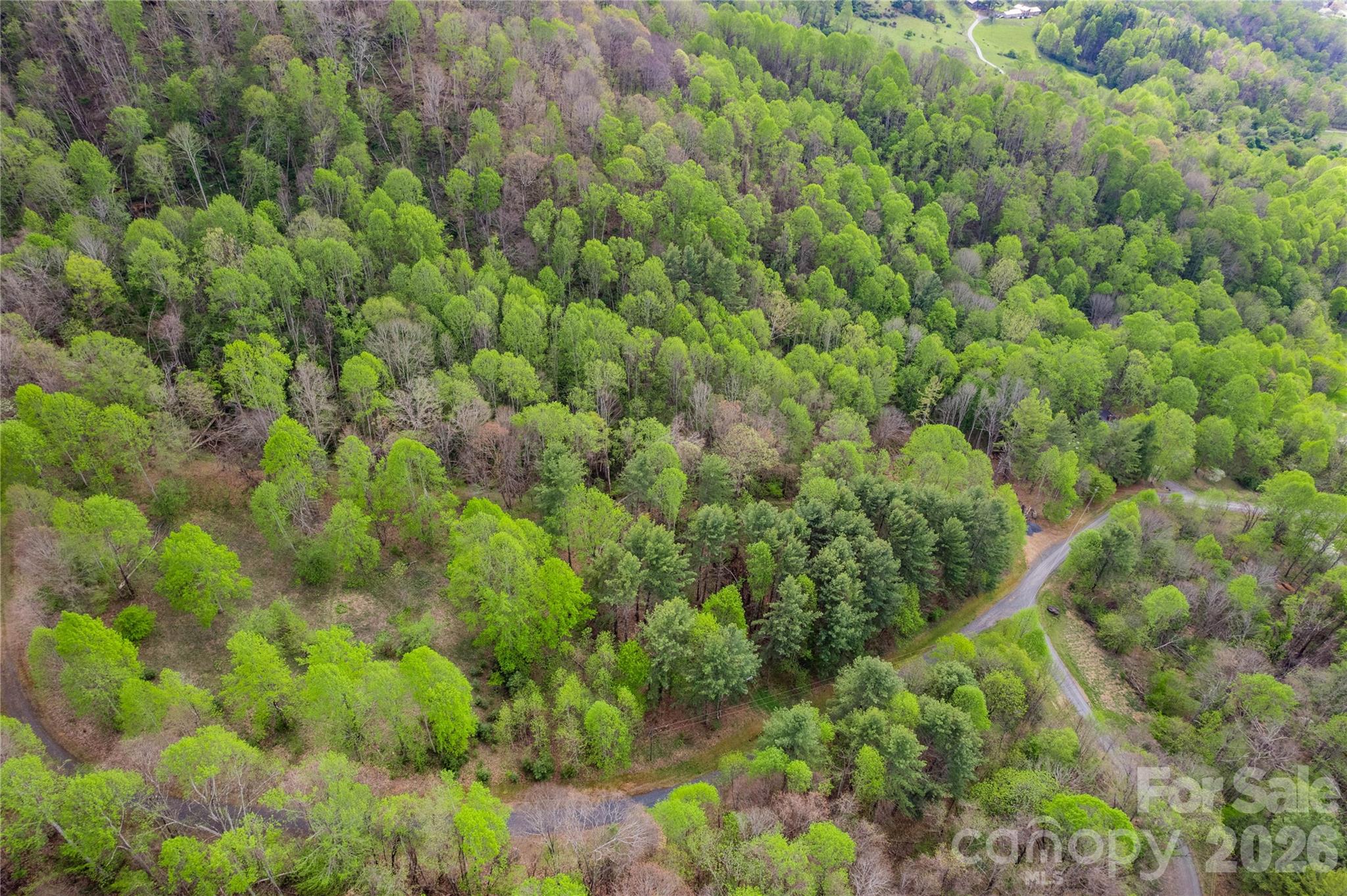 Lot at 00000 Apple Farm Road, Bakersville, photo 16 of 28