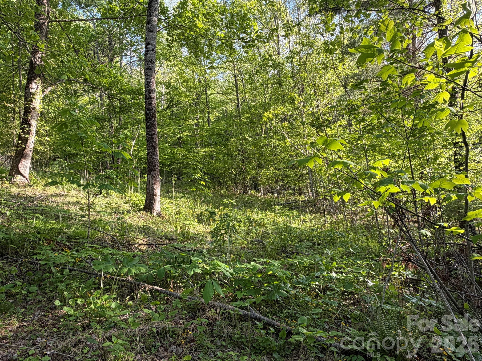 Lot at 00000 Apple Farm Road, Bakersville, photo 19 of 28