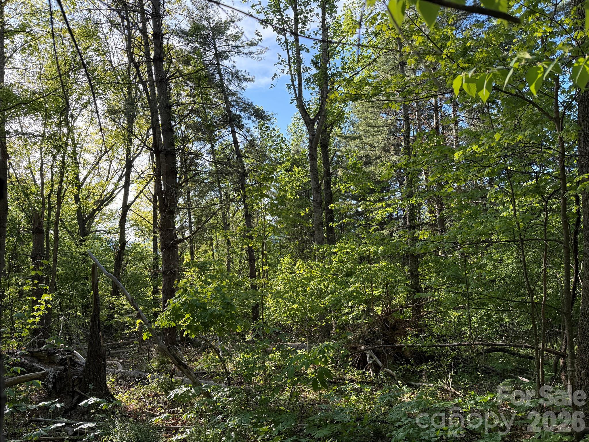 Lot at 00000 Apple Farm Road, Bakersville, photo 20 of 28
