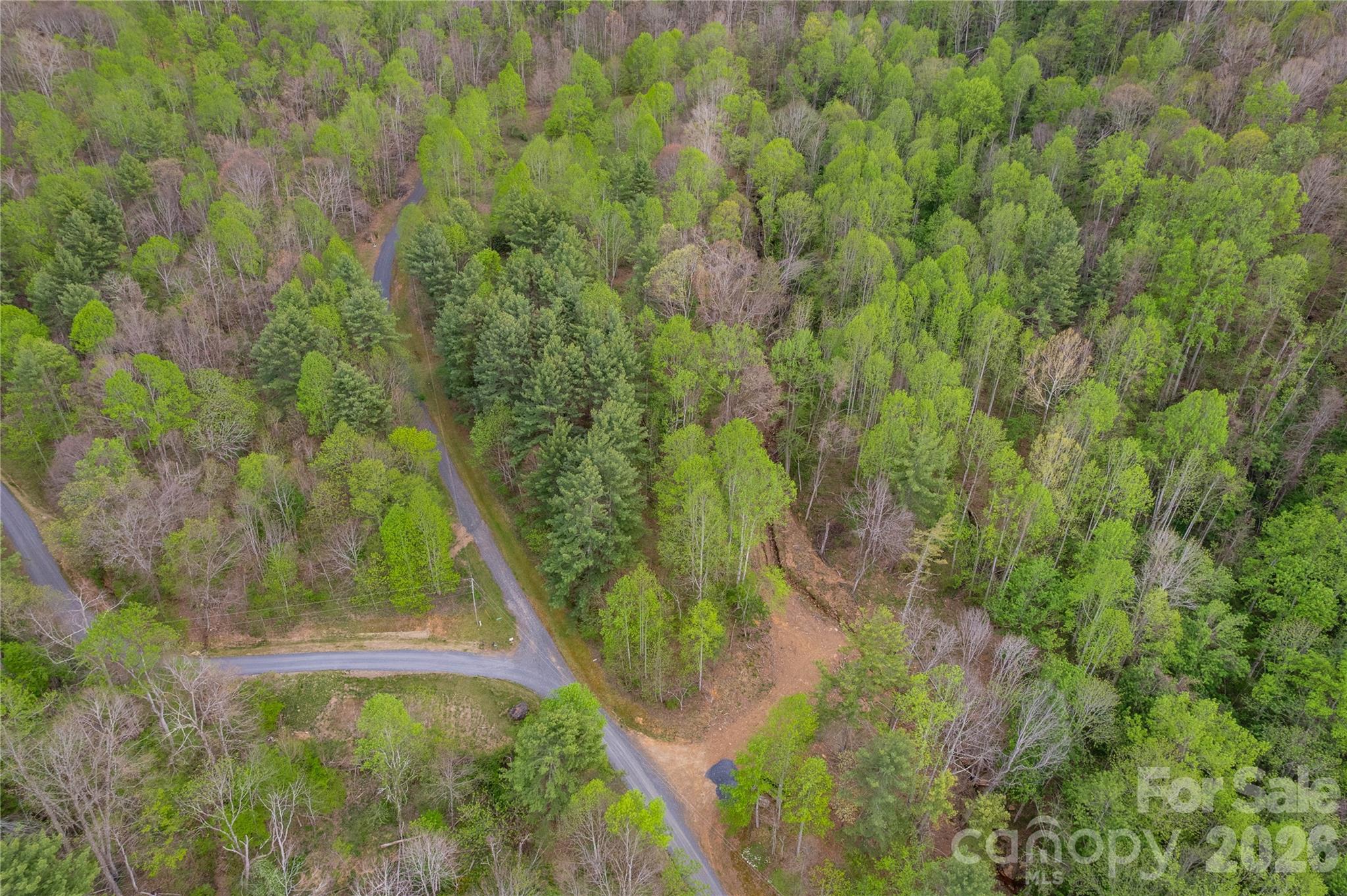 Lot at 00000 Apple Farm Road, Bakersville, photo 26 of 28