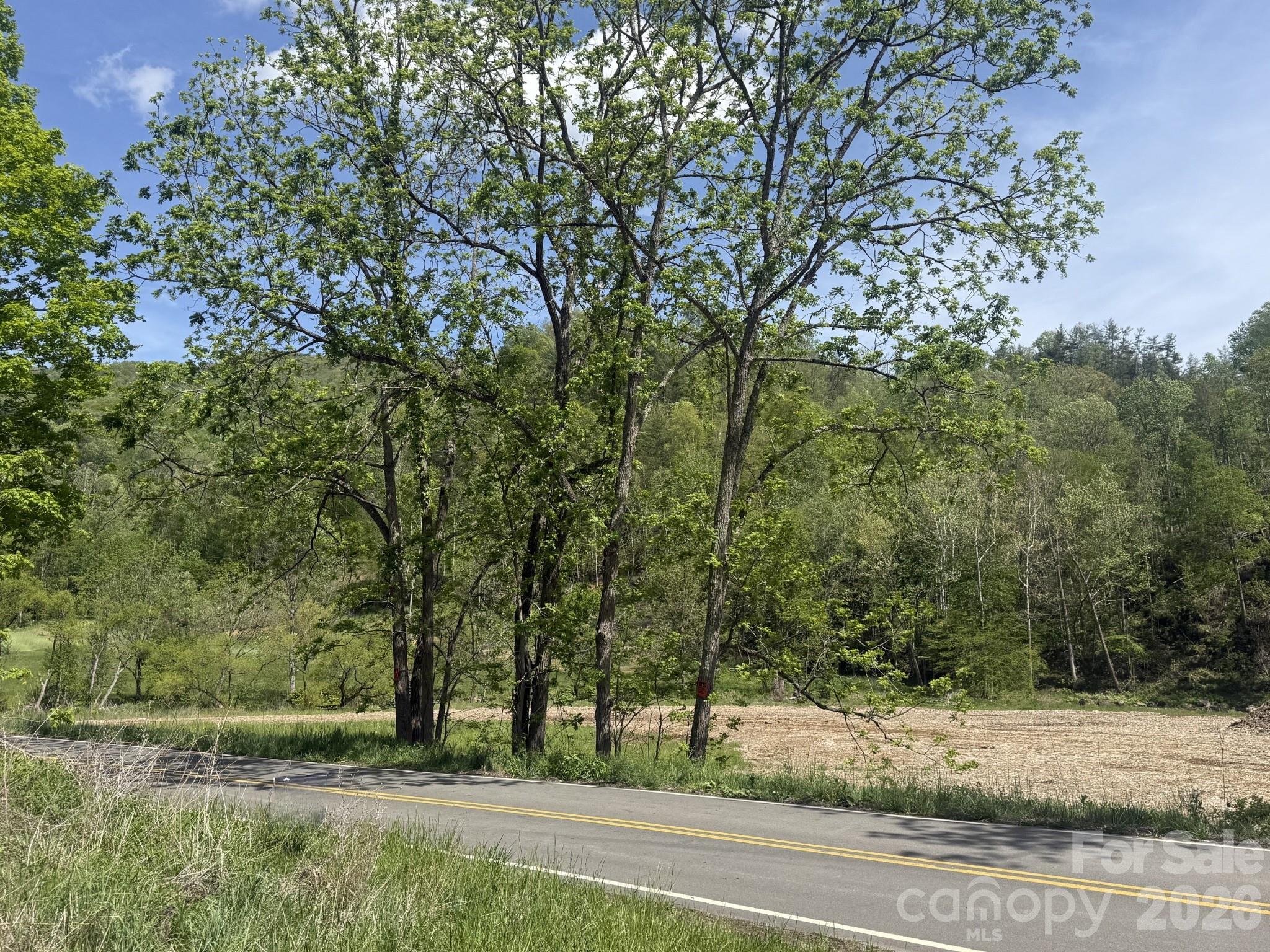 Acreage at 2681 Harrell Hill Road, Bakersville, photo 2 of 4