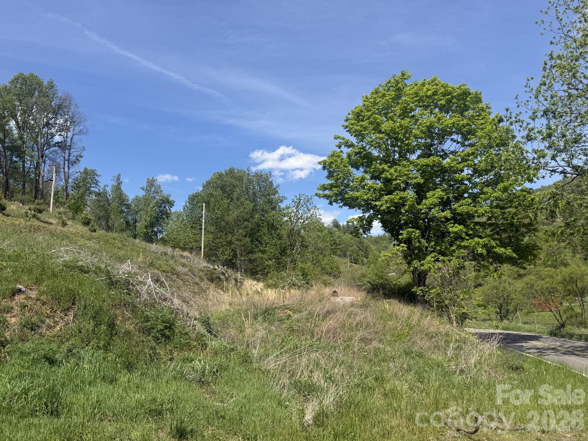 Acreage at 2681 Harrell Hill Road, Bakersville, photo 3 of 4