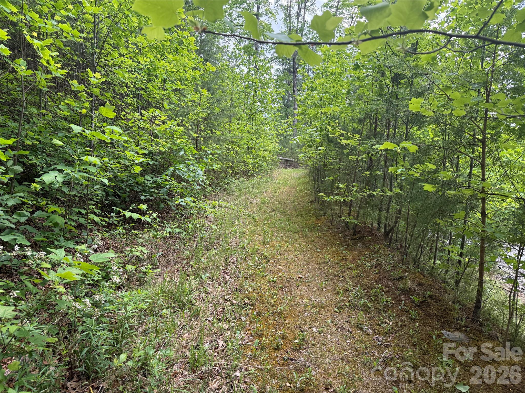 Lot at 270 Rock Ledge Drive, Lake Lure, photo 4 of 22