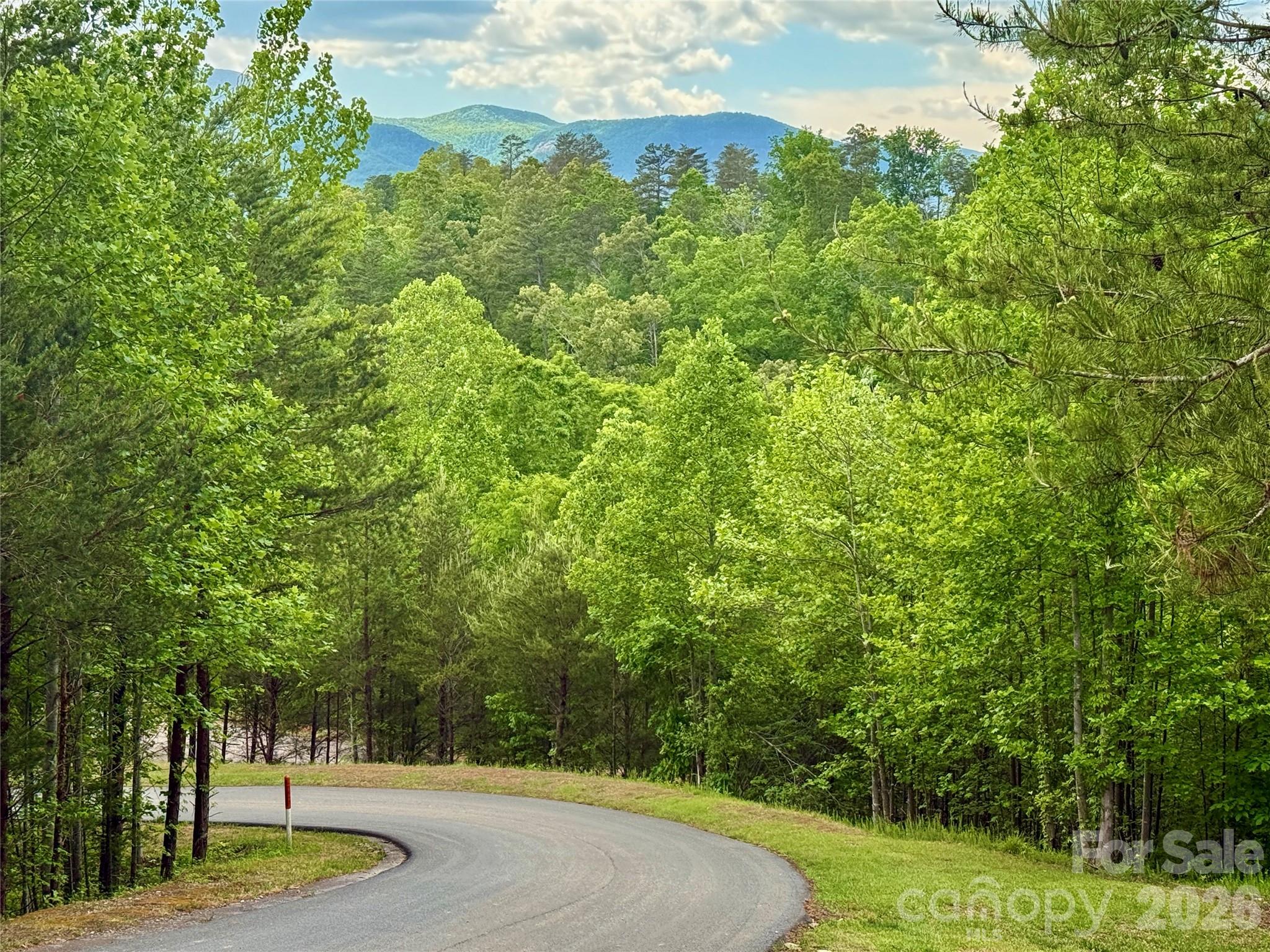 Lot at 270 Rock Ledge Drive, Lake Lure, photo 5 of 22