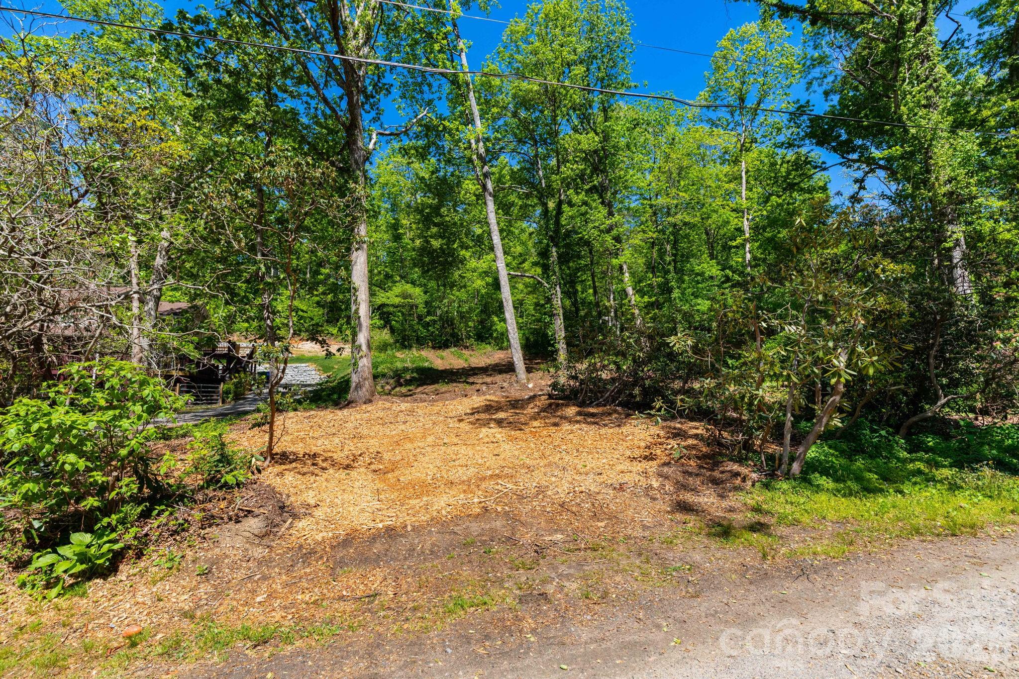 Lot at 99999 Meeks Road, Black Mountain, photo 3 of 18