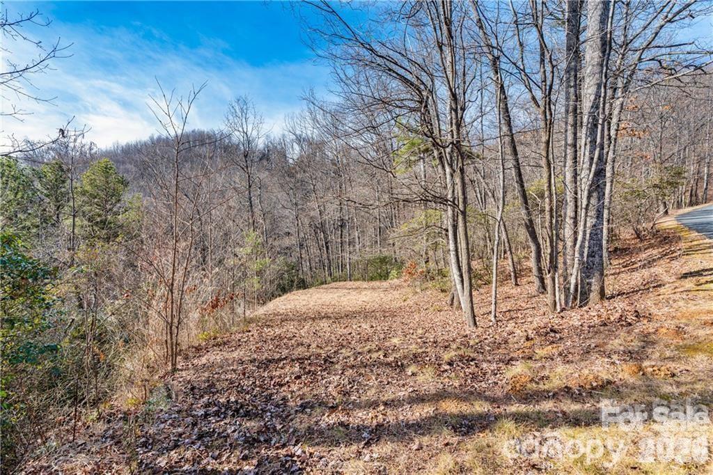 Lot at 28 Trillium Lane, Black Mountain, photo 3 of 25