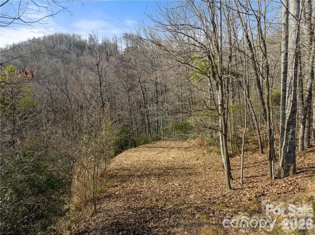 Lot at 28 Trillium Lane, Black Mountain, photo 5 of 25